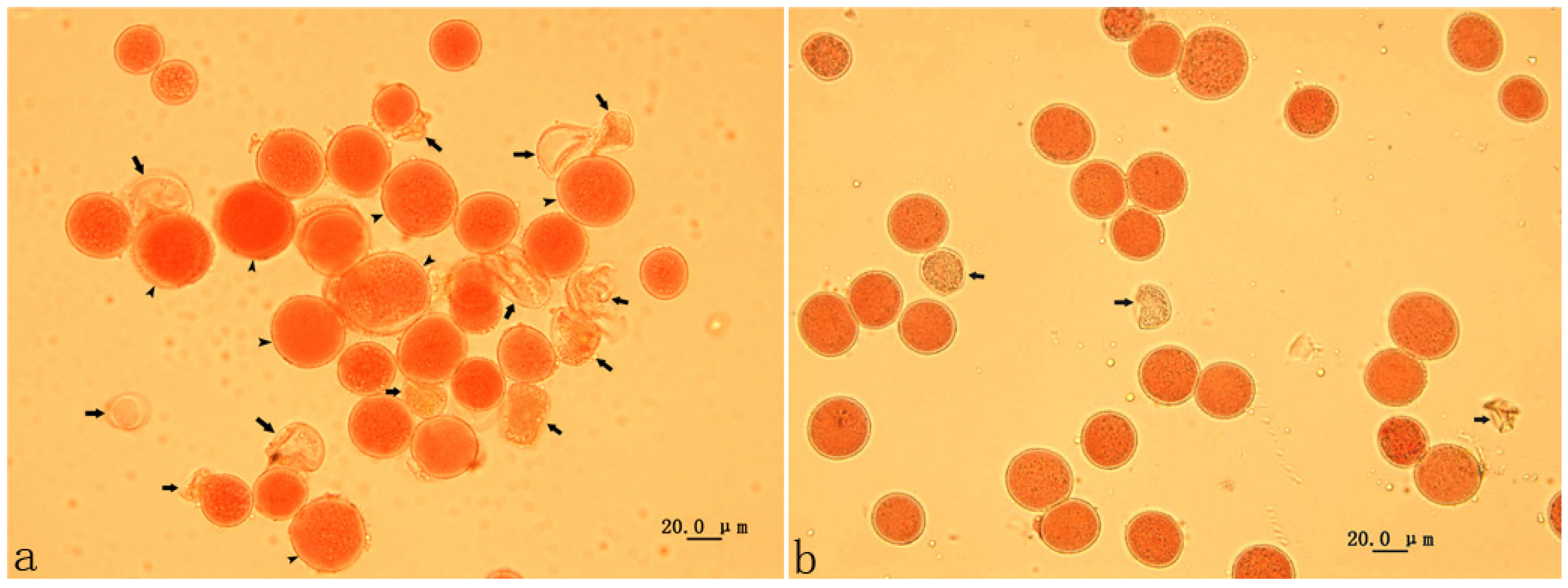 Forests 14 00797 g001 Forests 14 00797 g001