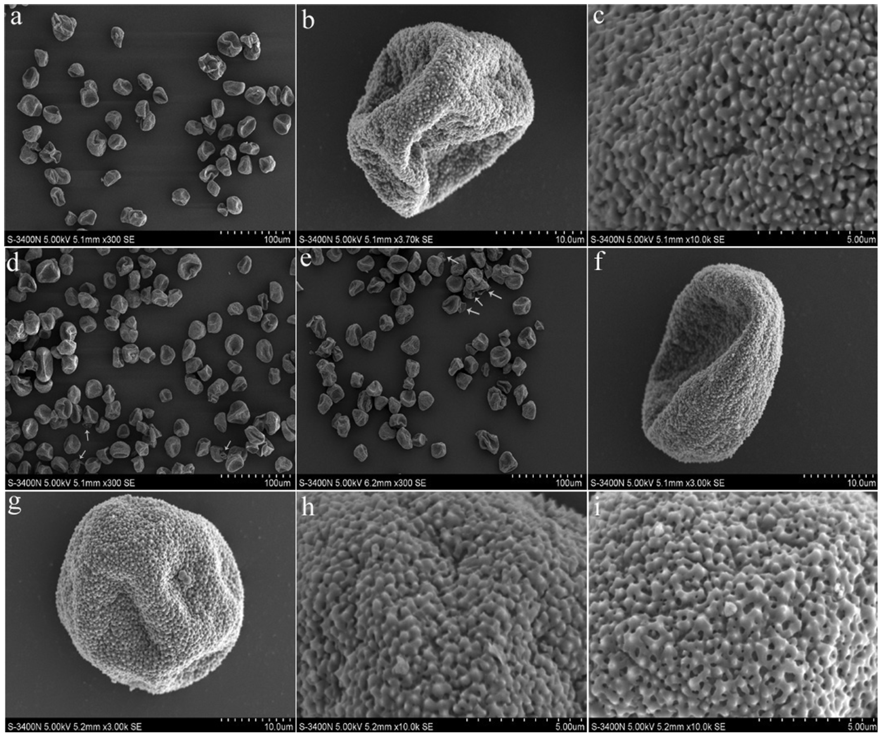 Forests 14 00797 g002 Forests 14 00797 g002