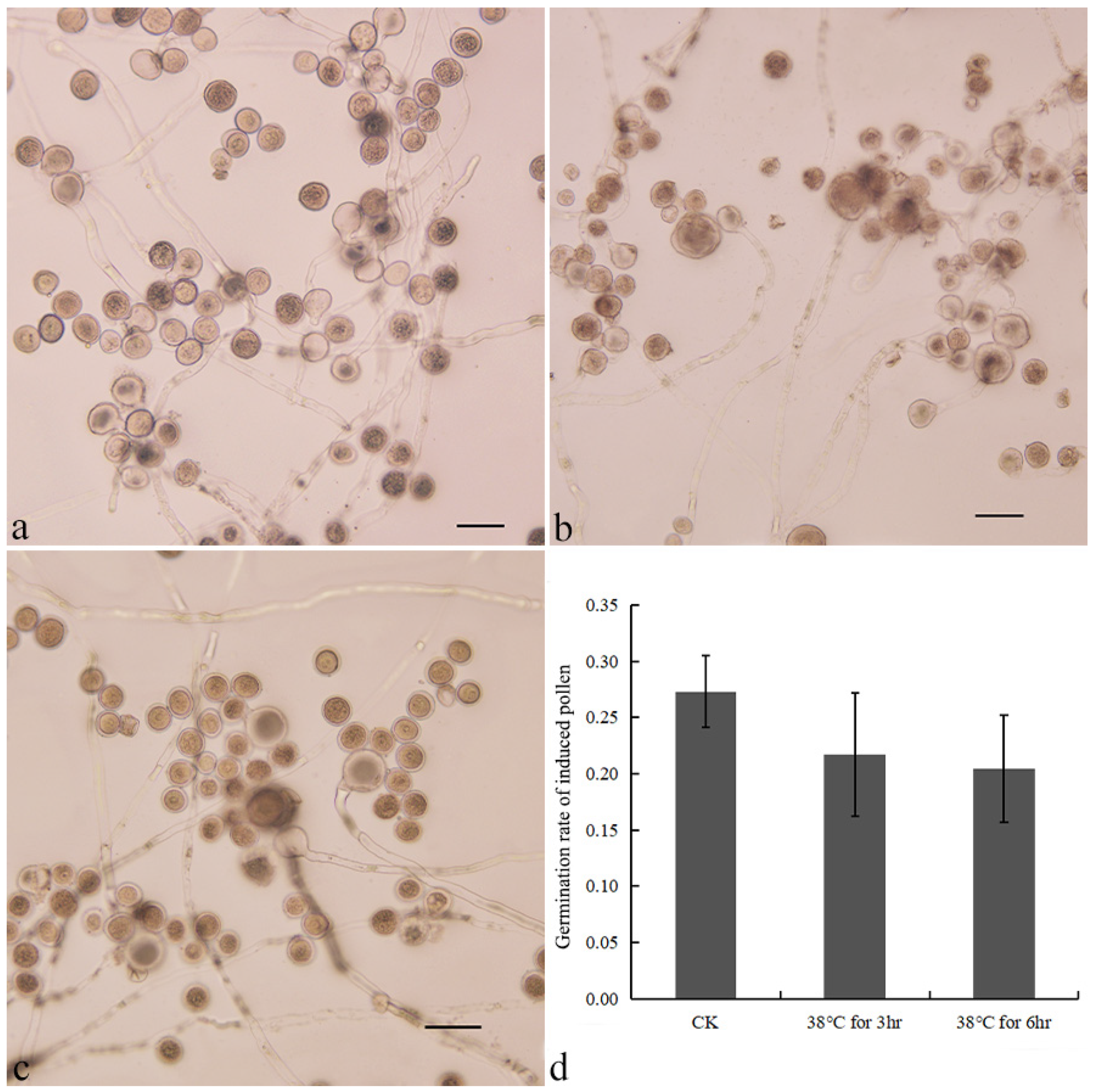 Forests 14 00797 g003 Forests 14 00797 g003