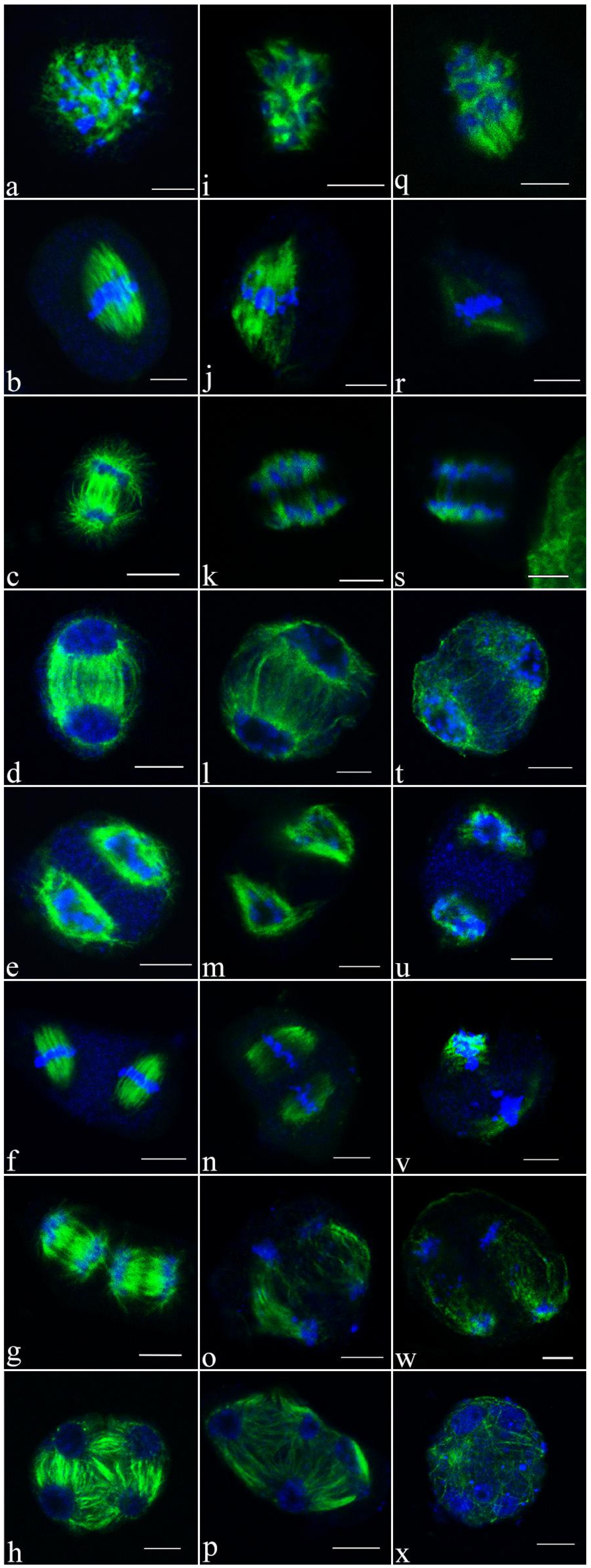Forests 14 00797 g006 Forests 14 00797 g006