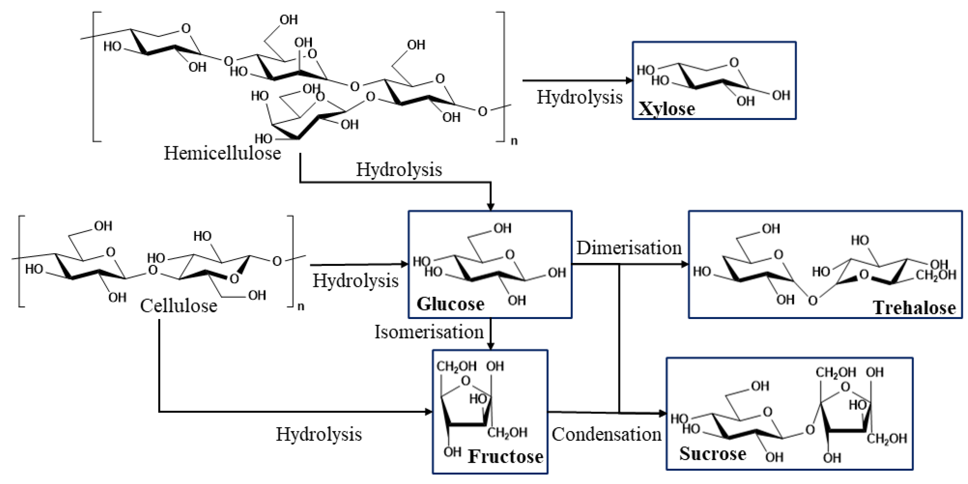 Forests 14 00799 g003