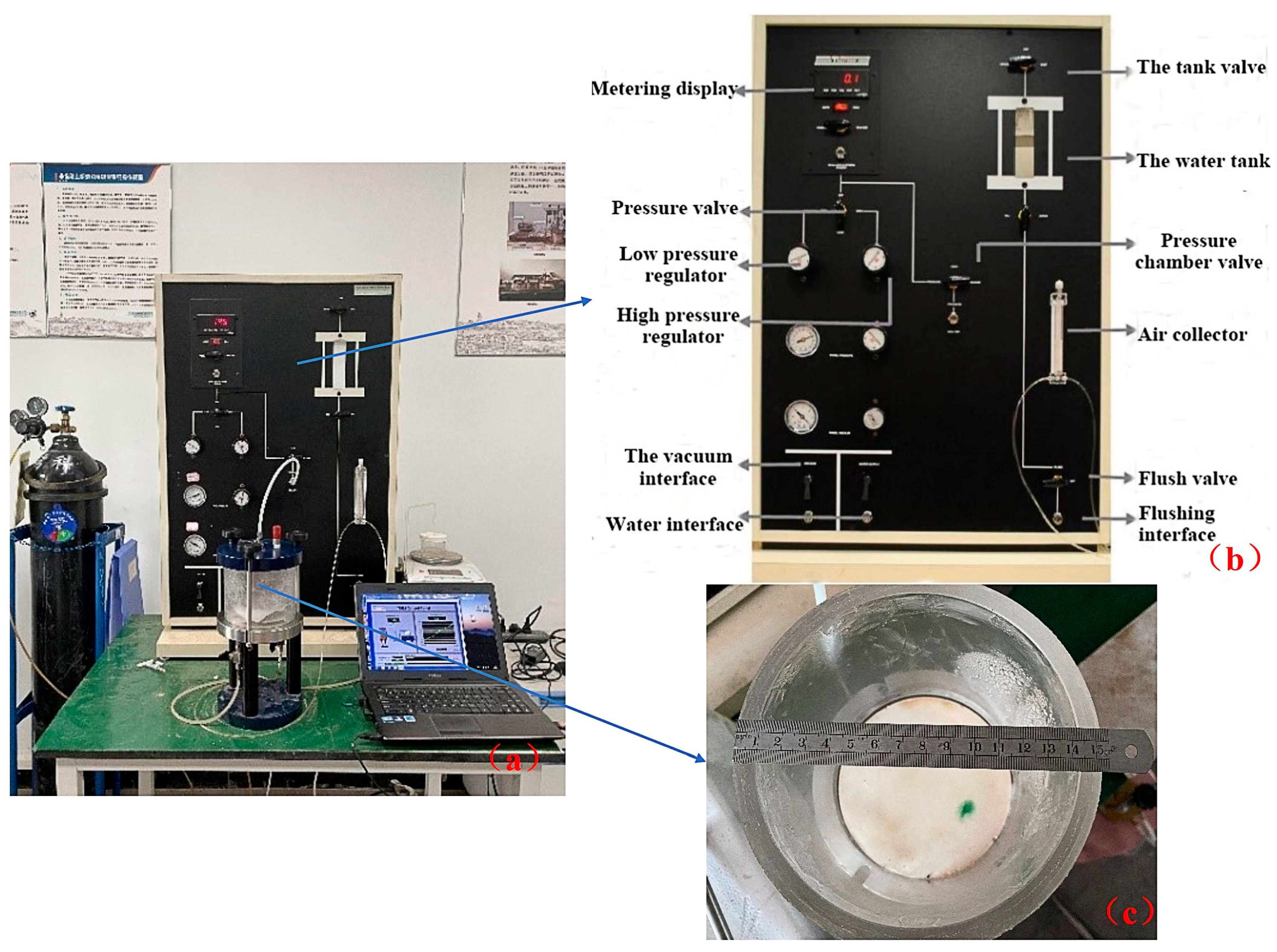 Forests 14 00808 g007