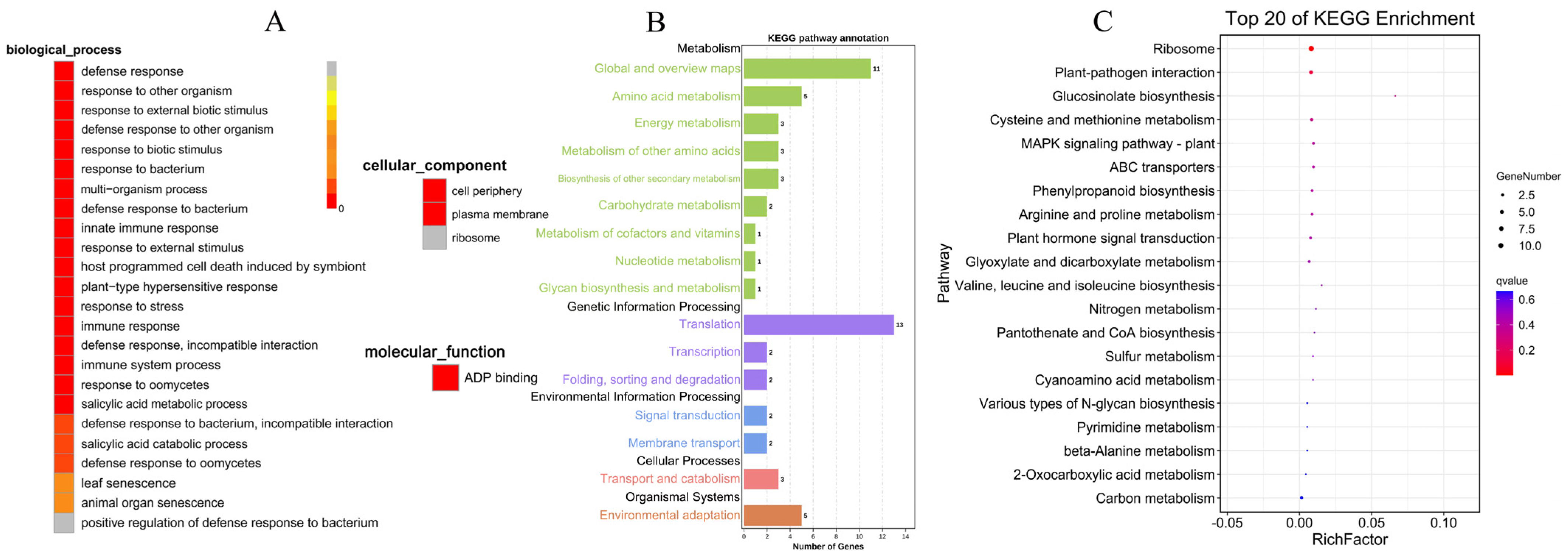 Forests 14 00811 g003
