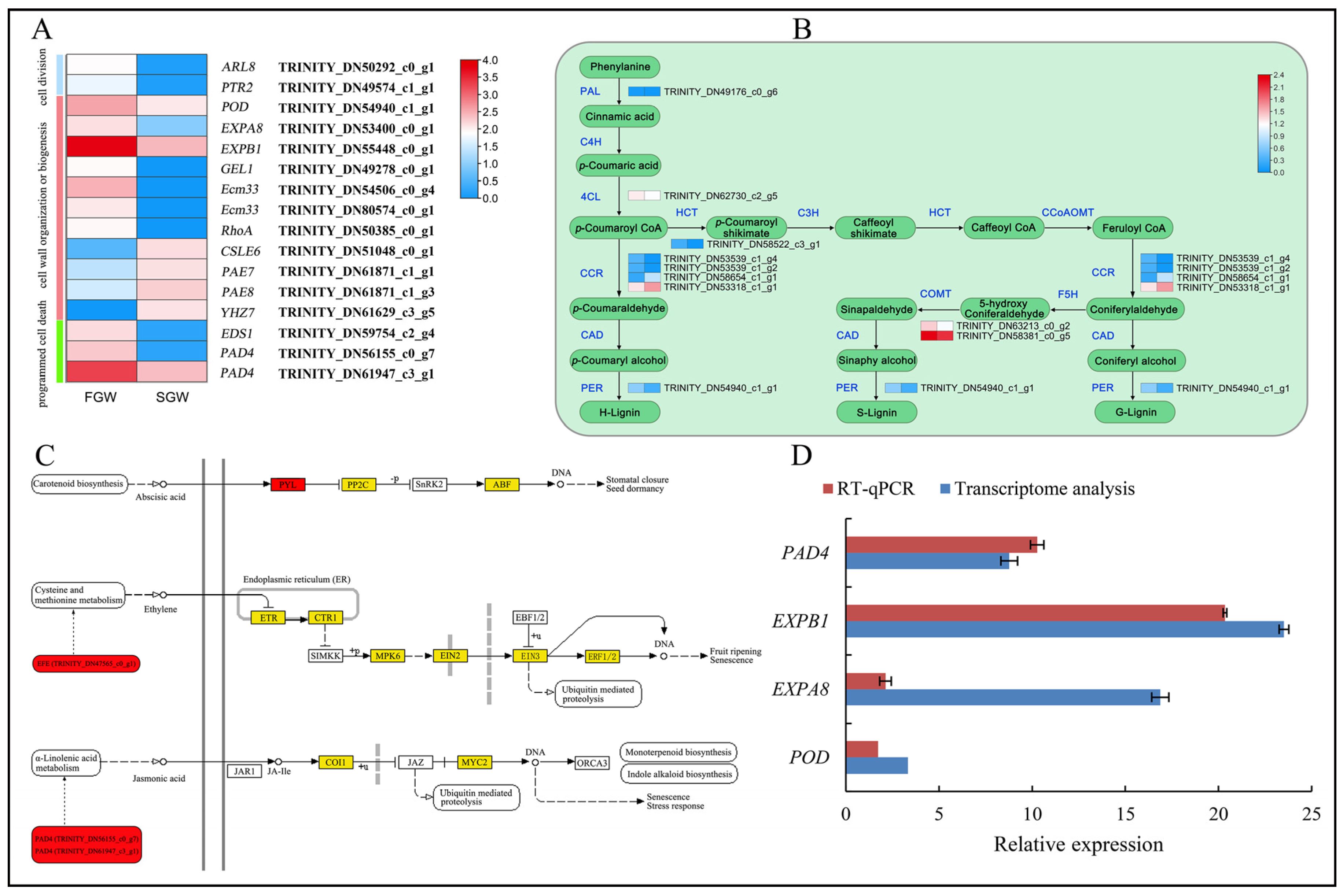 Forests 14 00811 g004