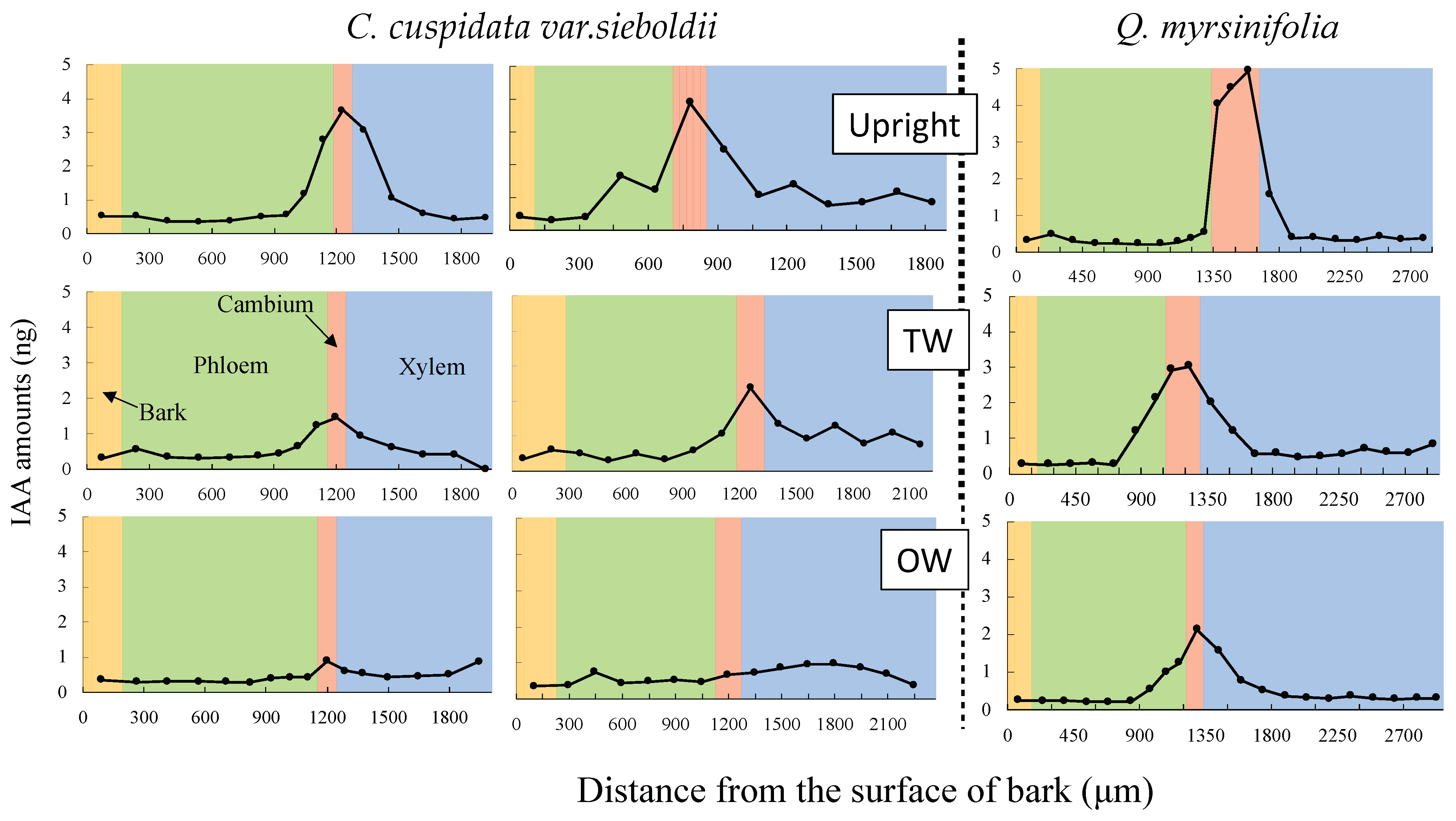 Forests 14 00813 g003