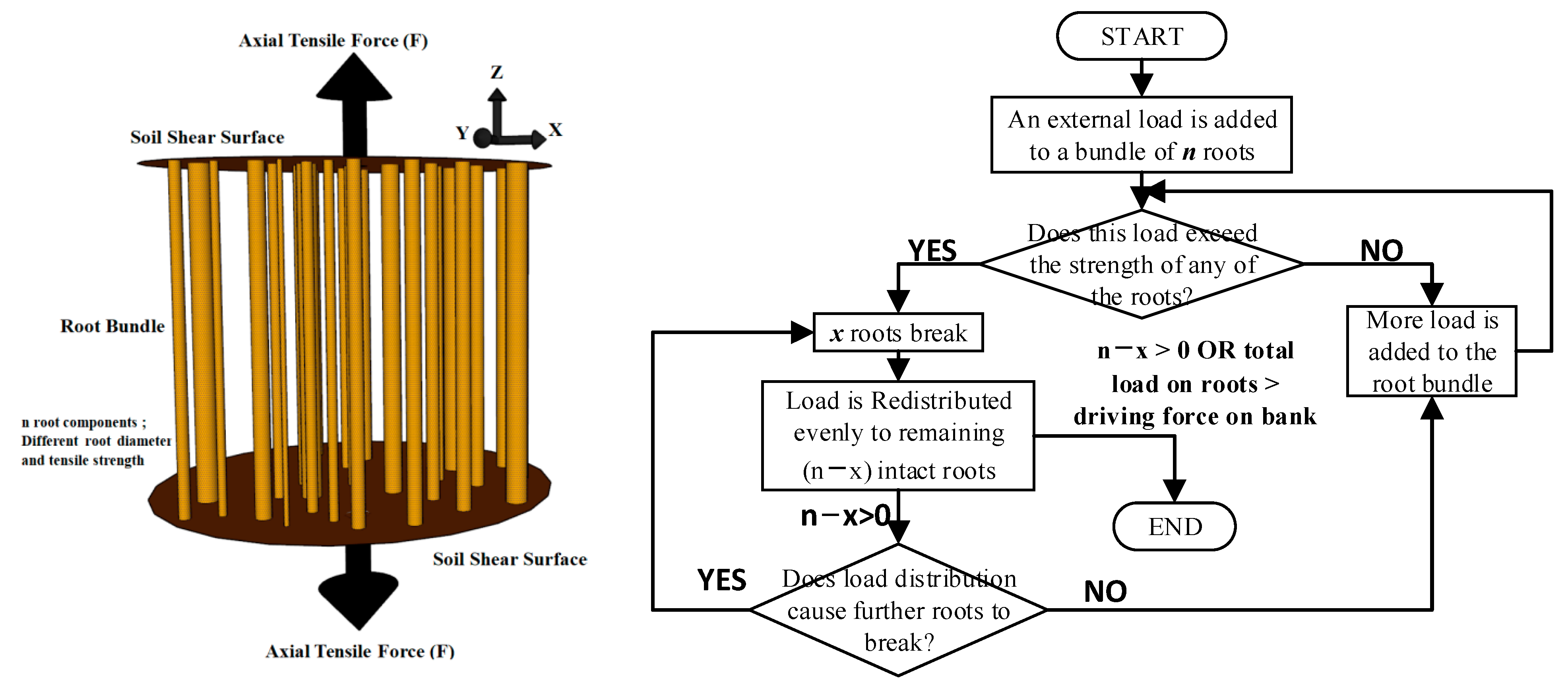 Forests 14 00819 g002