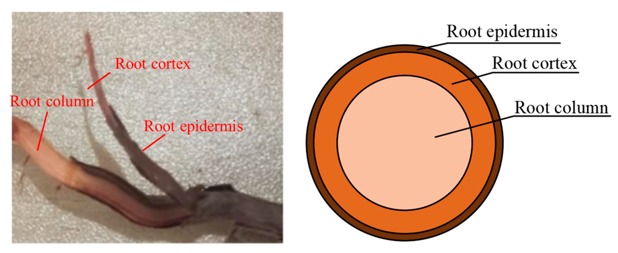 Forests 14 00819 g007