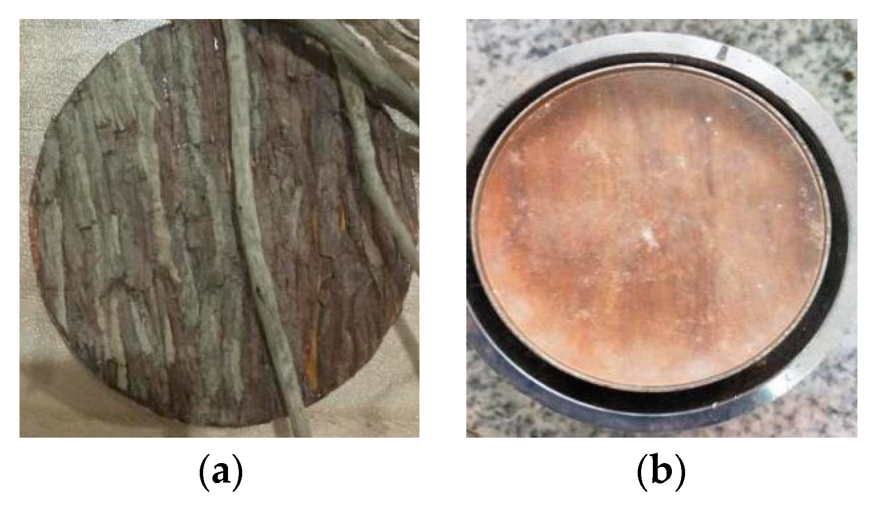 Forests 14 00819 g010