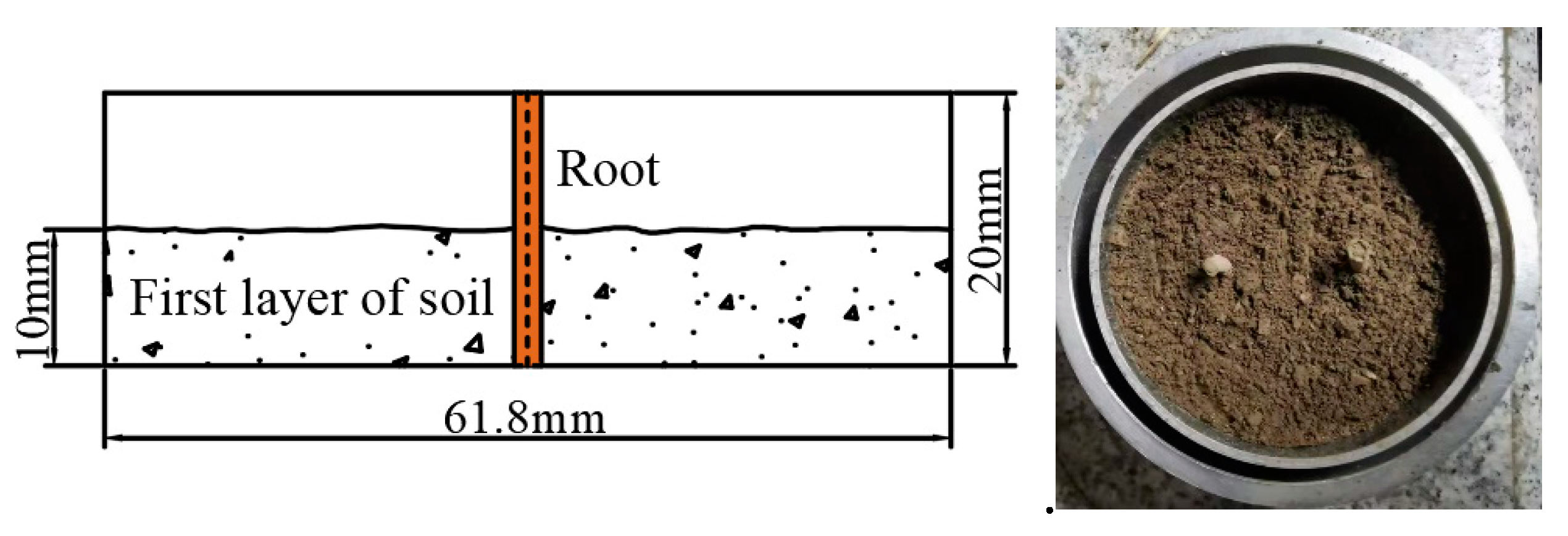 Forests 14 00819 g012