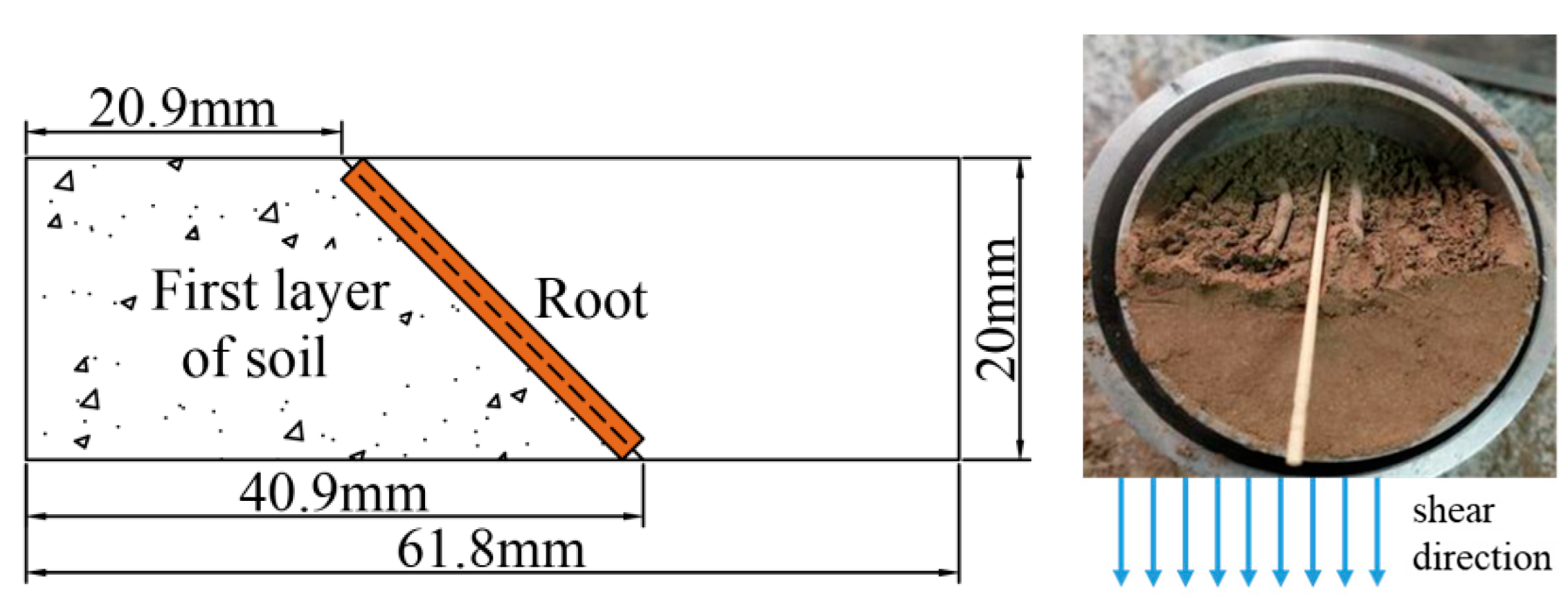 Forests 14 00819 g013
