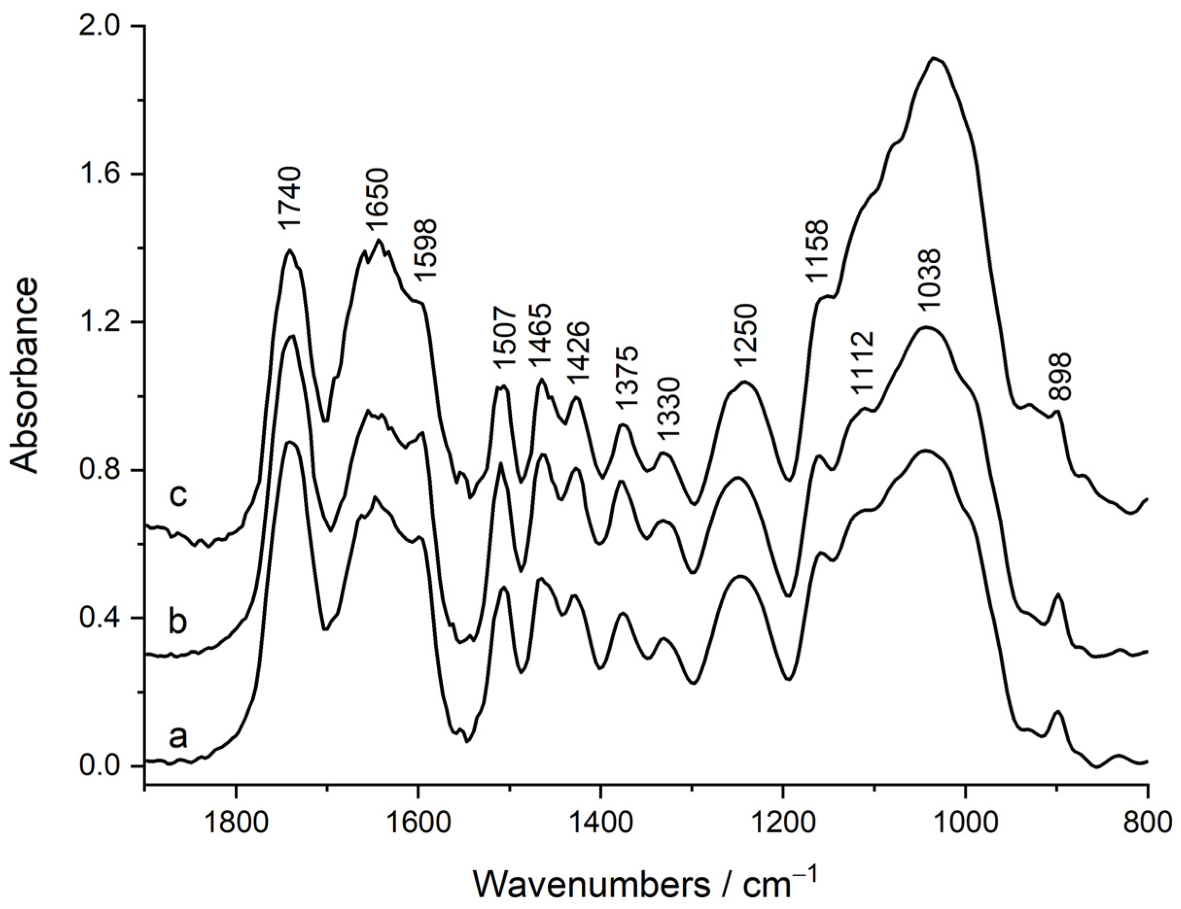 Forests 14 00825 g001