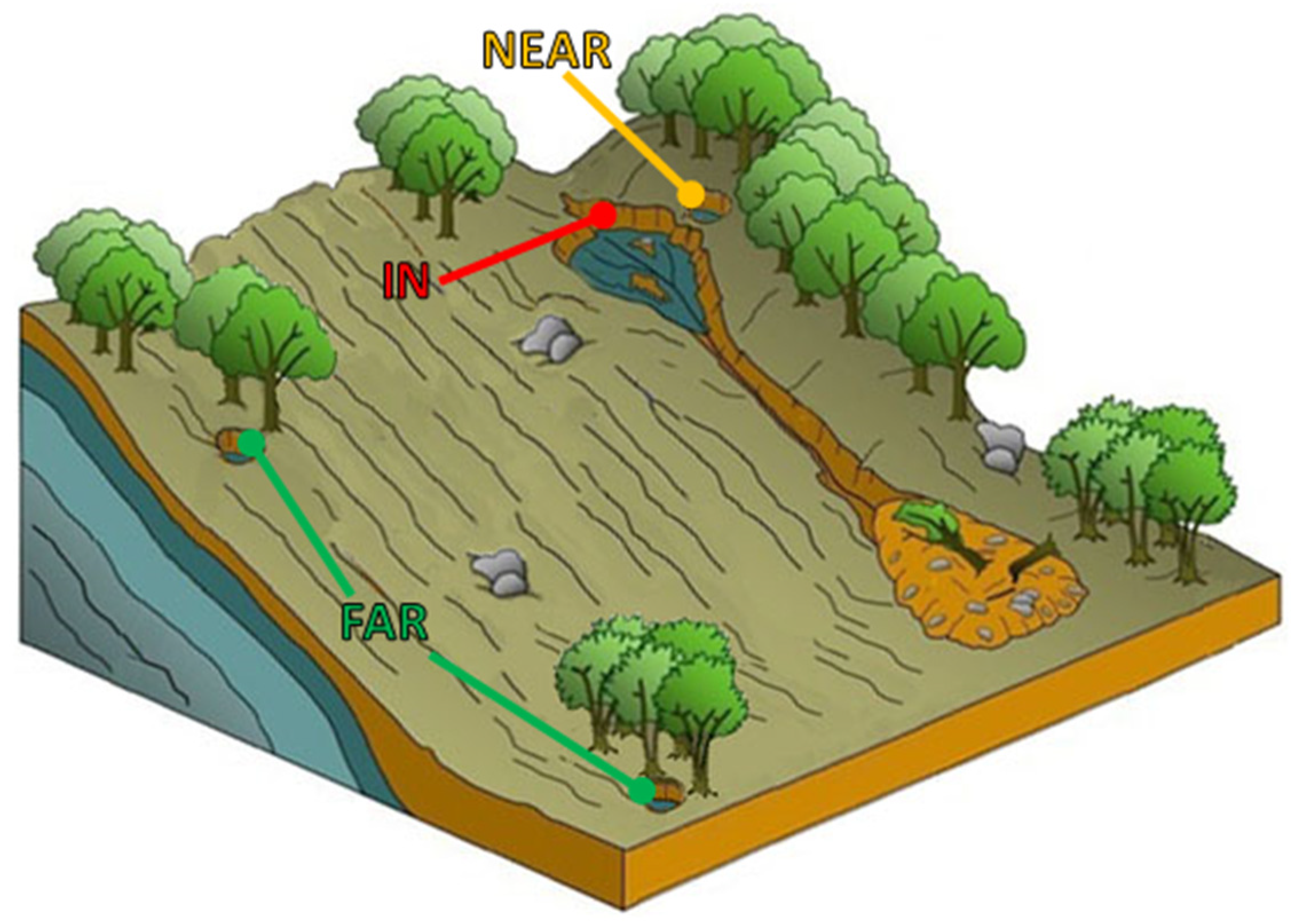 Forests 14 00825 g009