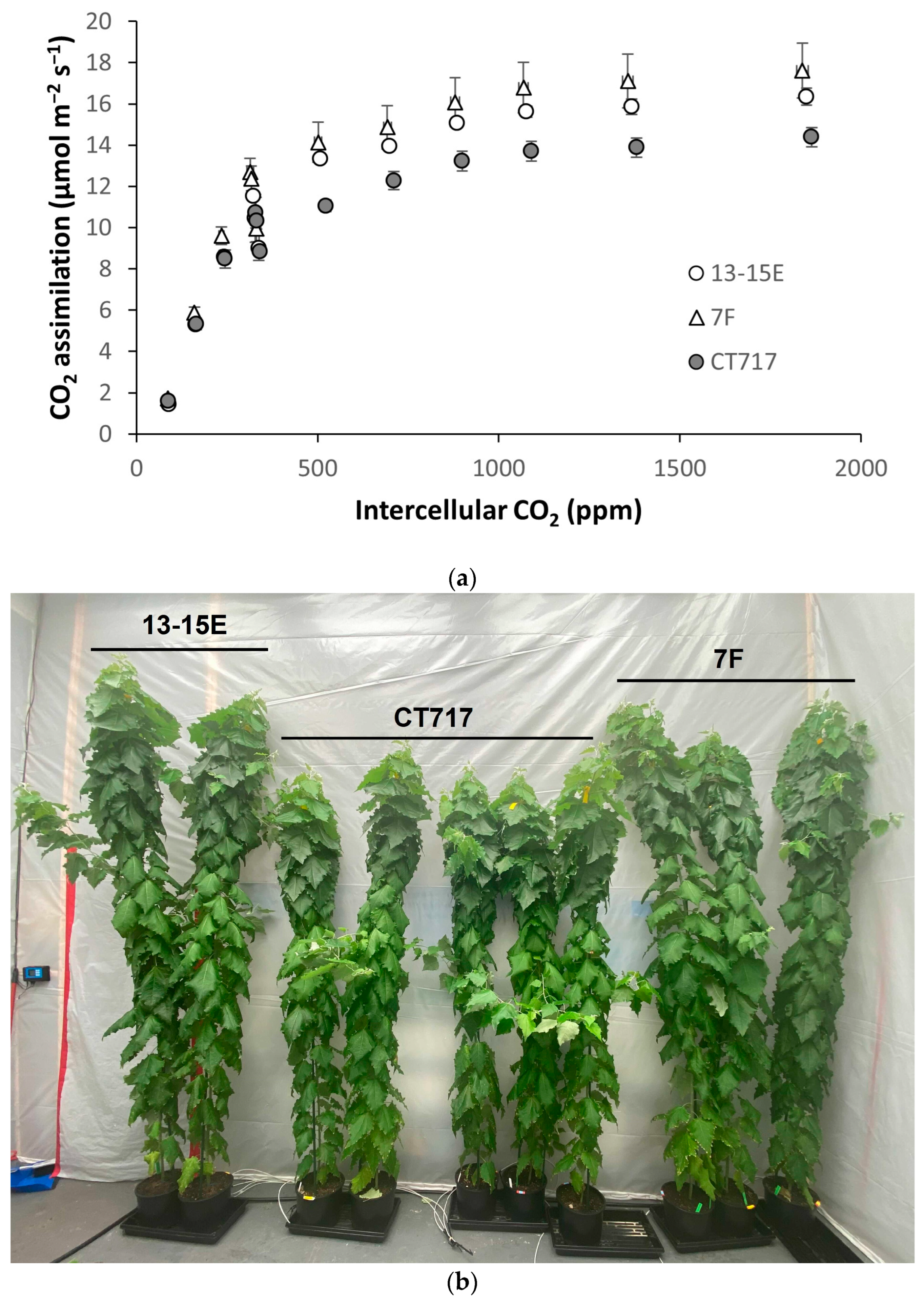 Forests 14 00827 g004a Forests 14 00827 g004a