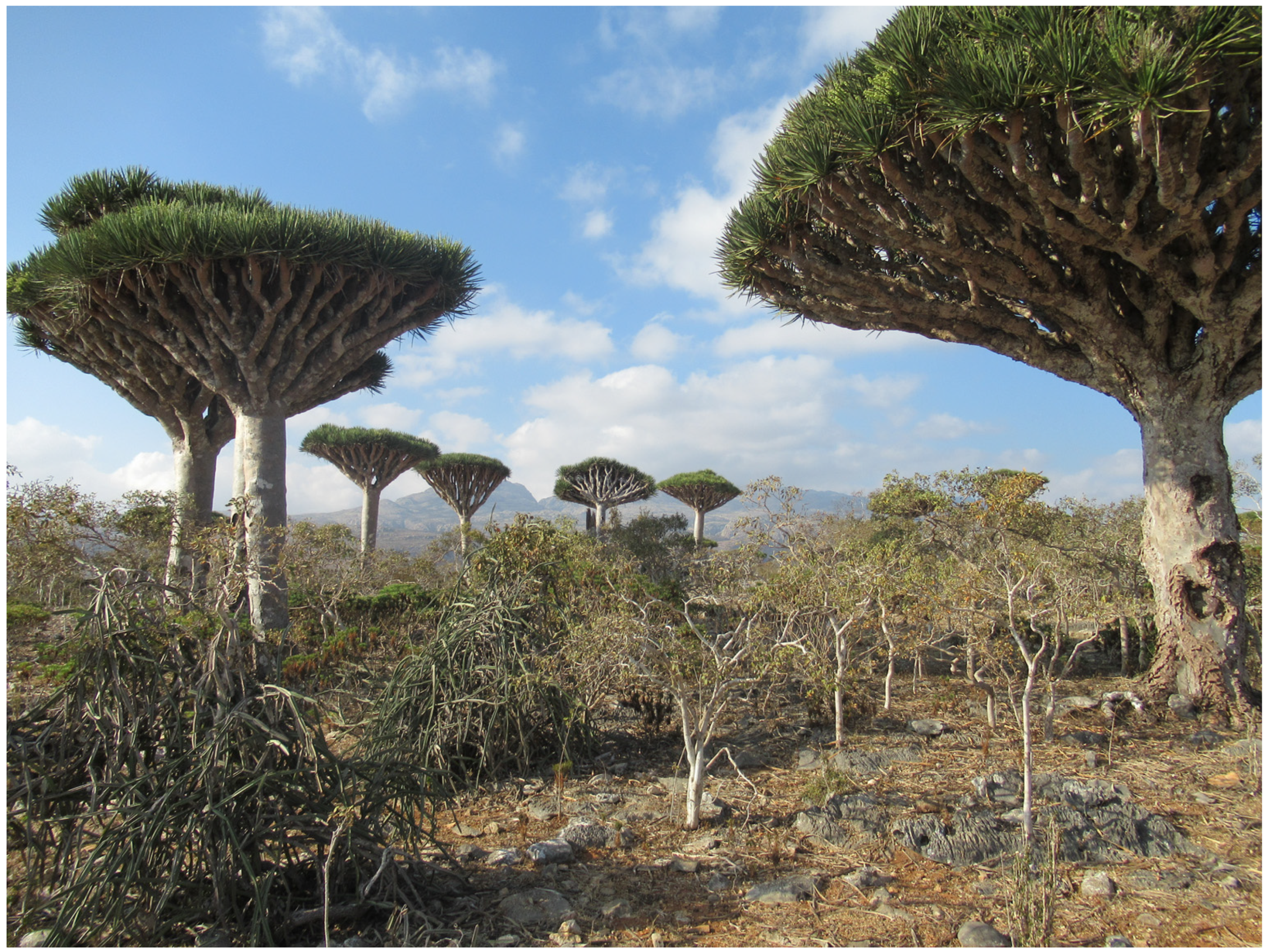 Forests 14 00840 g002