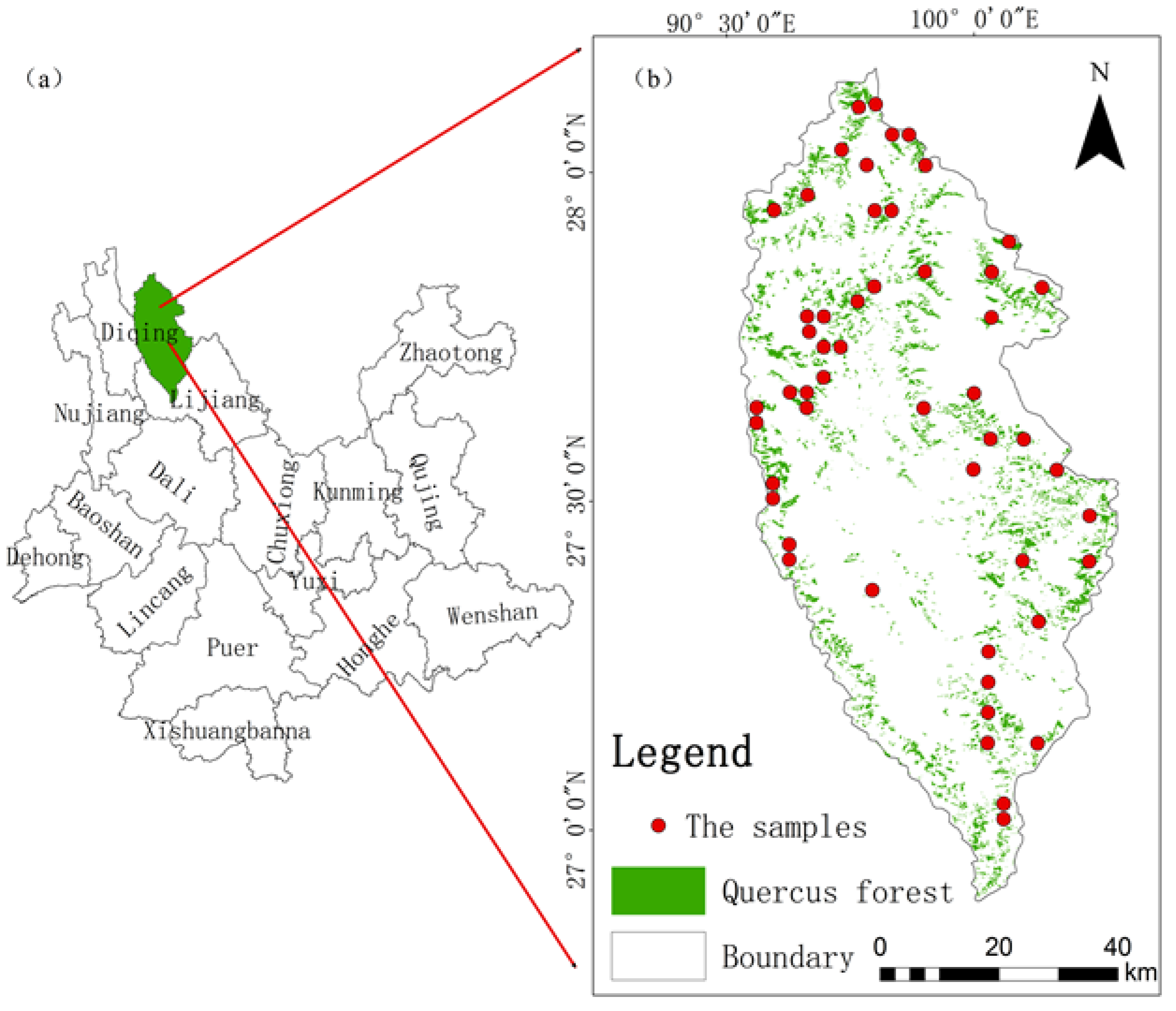 Forests 14 00876 g001
