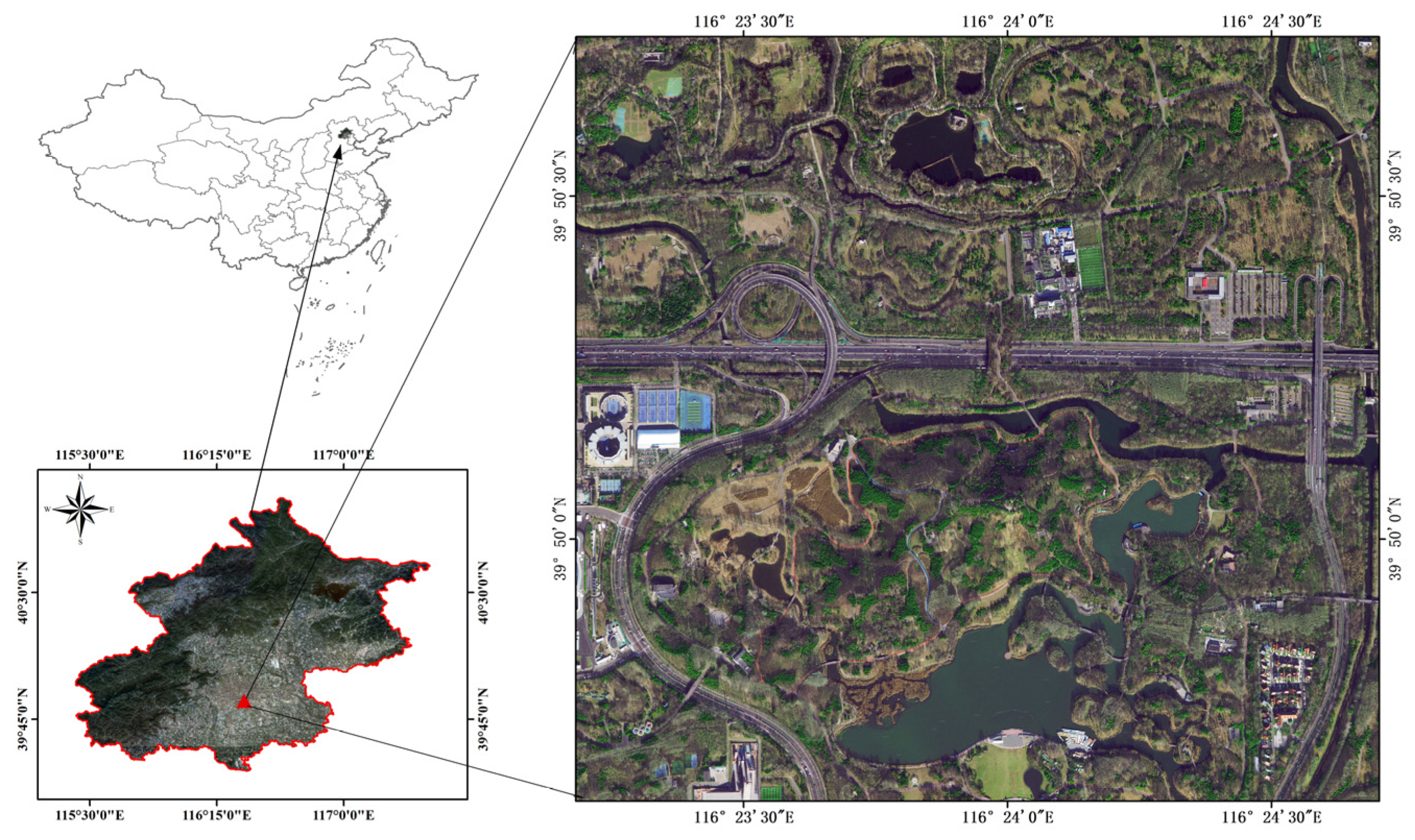 Forests 14 00891 g001