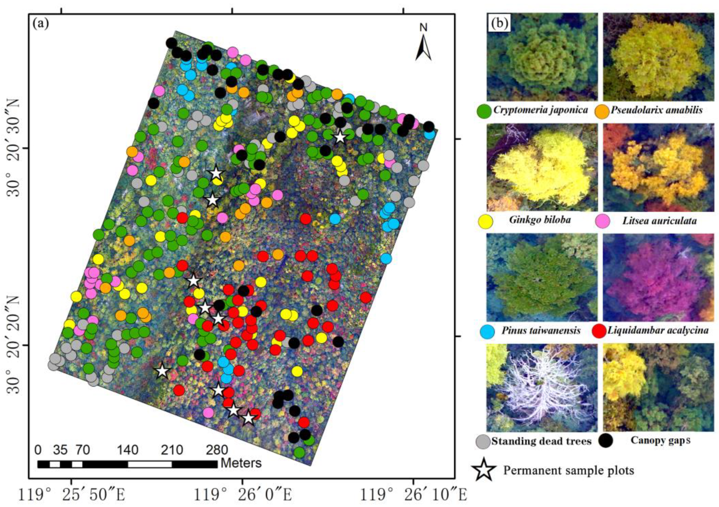 Forests 14 00908 g002 Forests 14 00908 g002