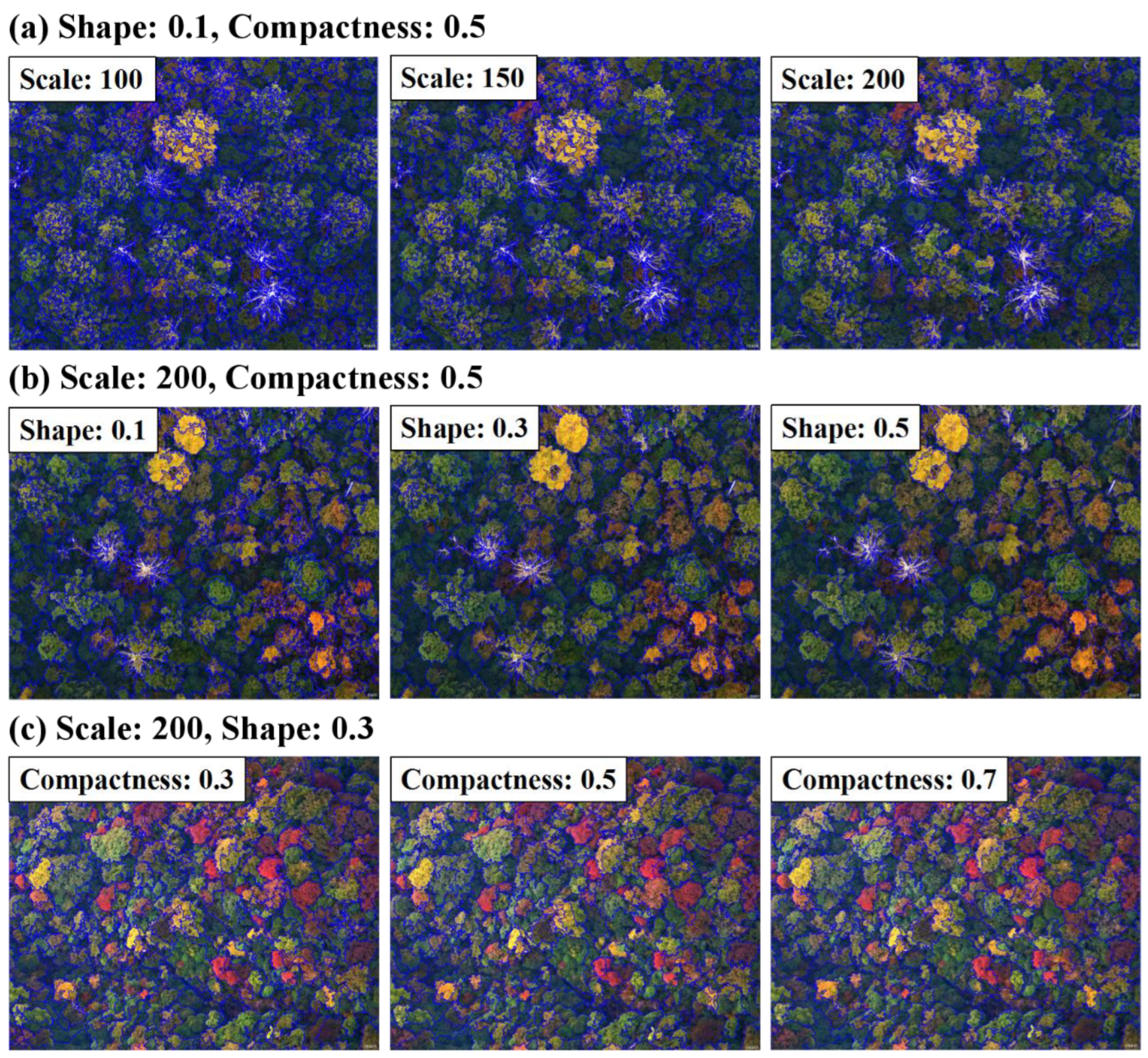 Forests 14 00908 g003 Forests 14 00908 g003