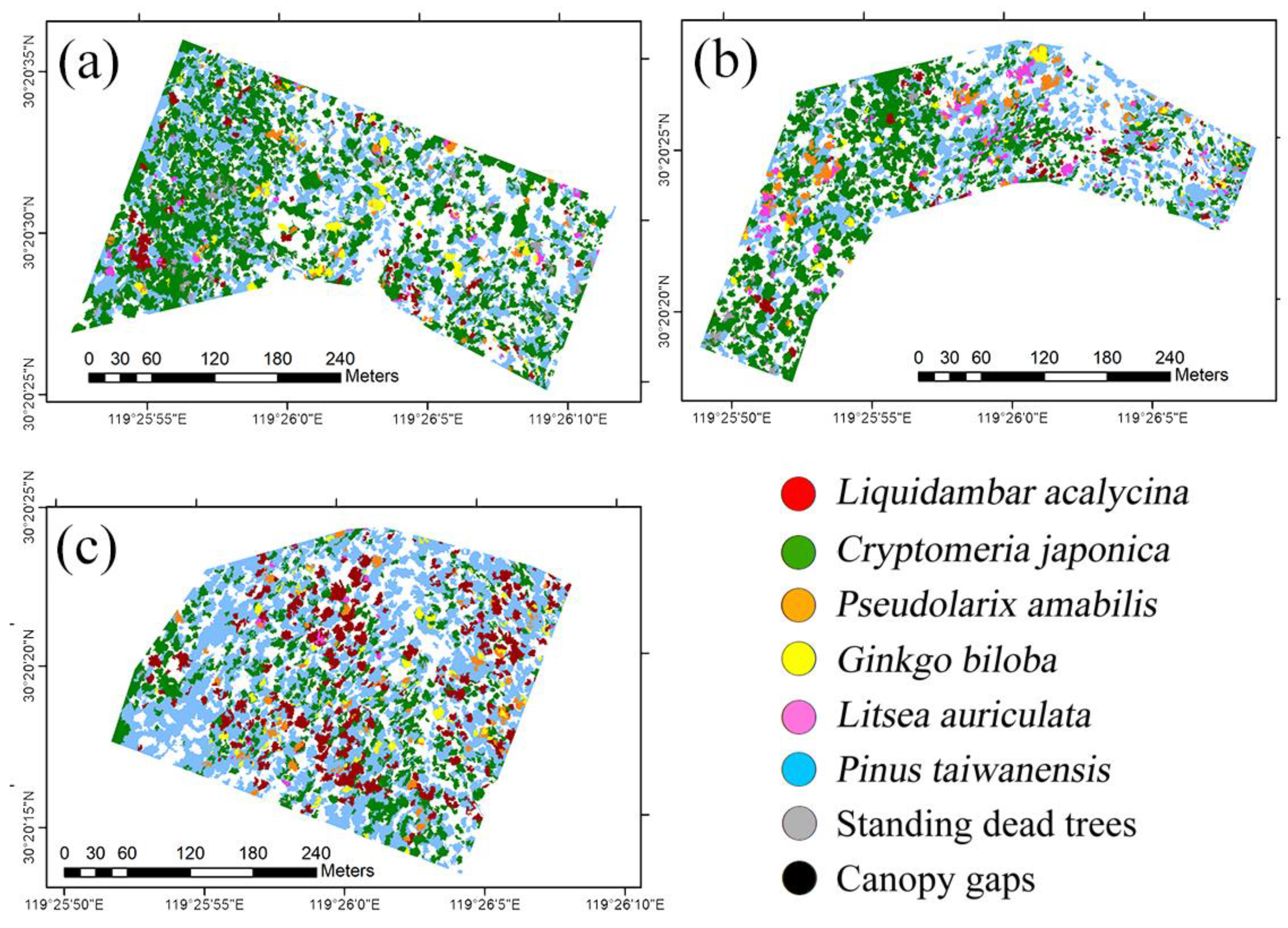 Forests 14 00908 g007 Forests 14 00908 g007