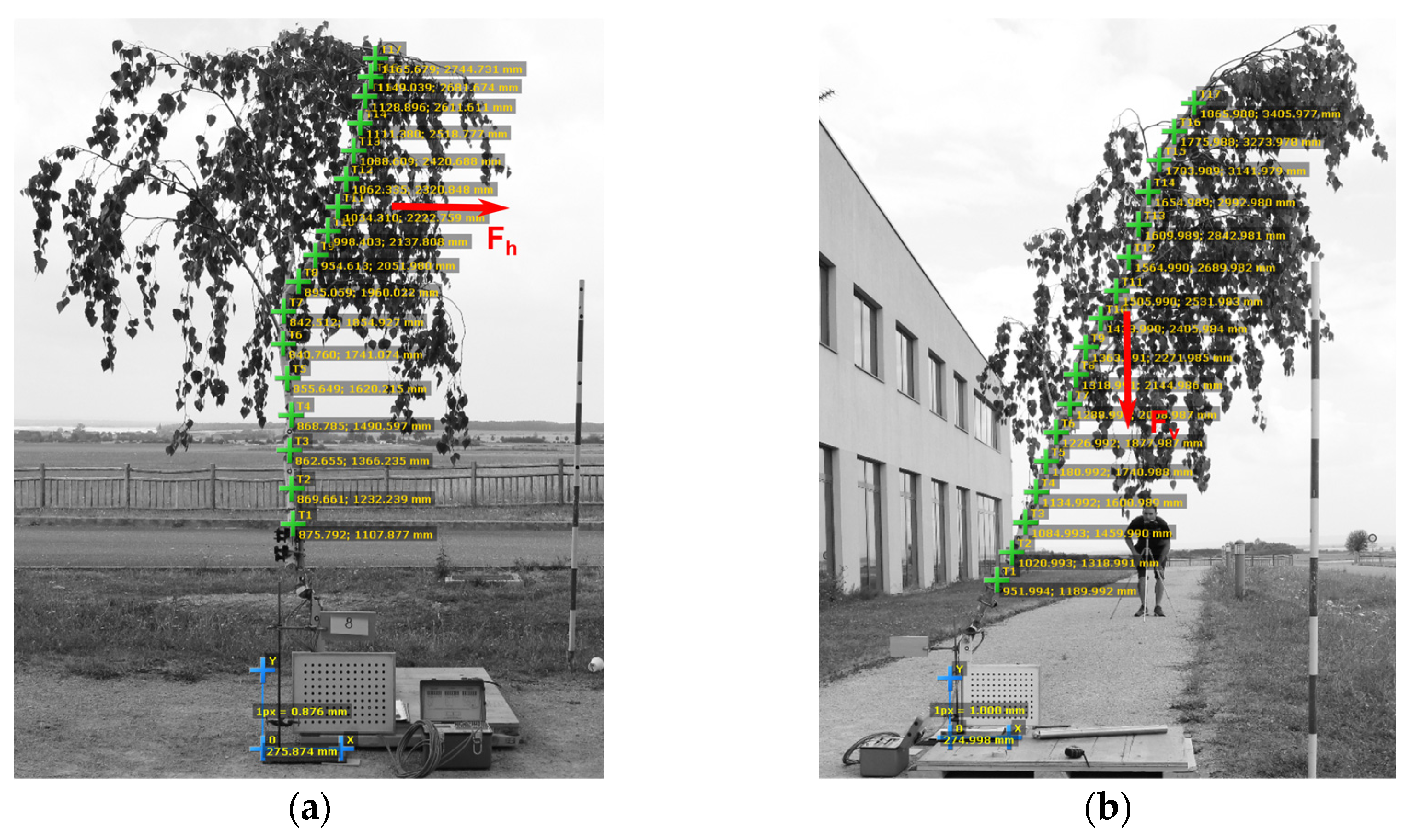 Forests 14 00930 g001