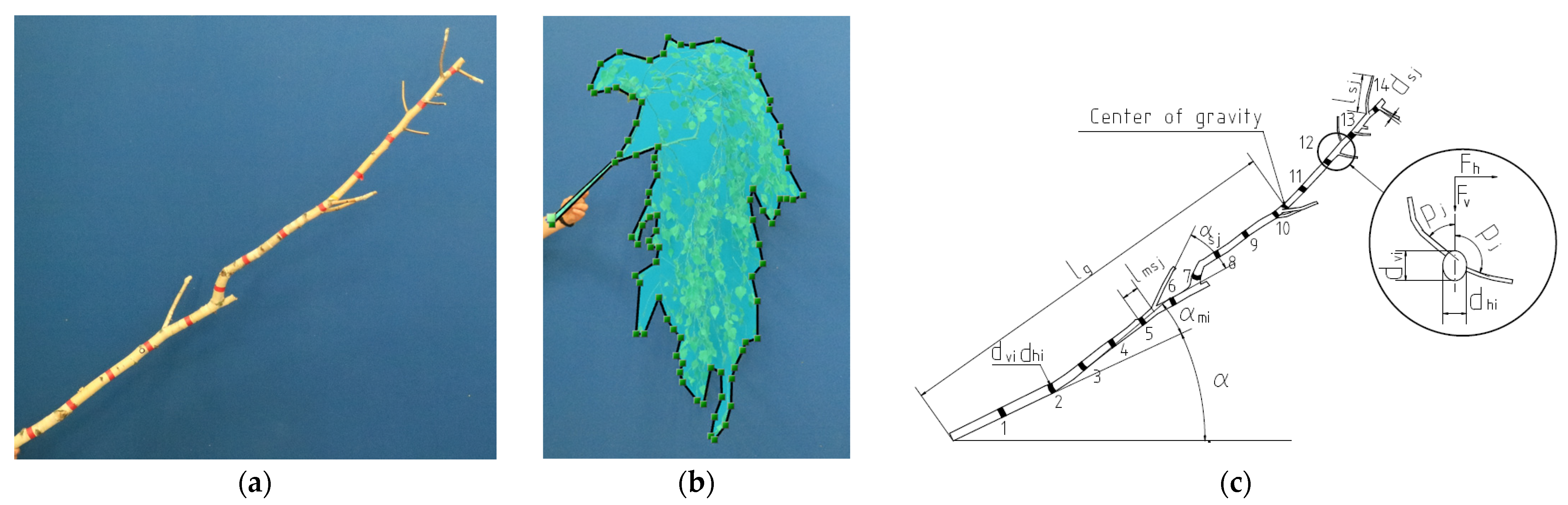 Forests 14 00930 g002