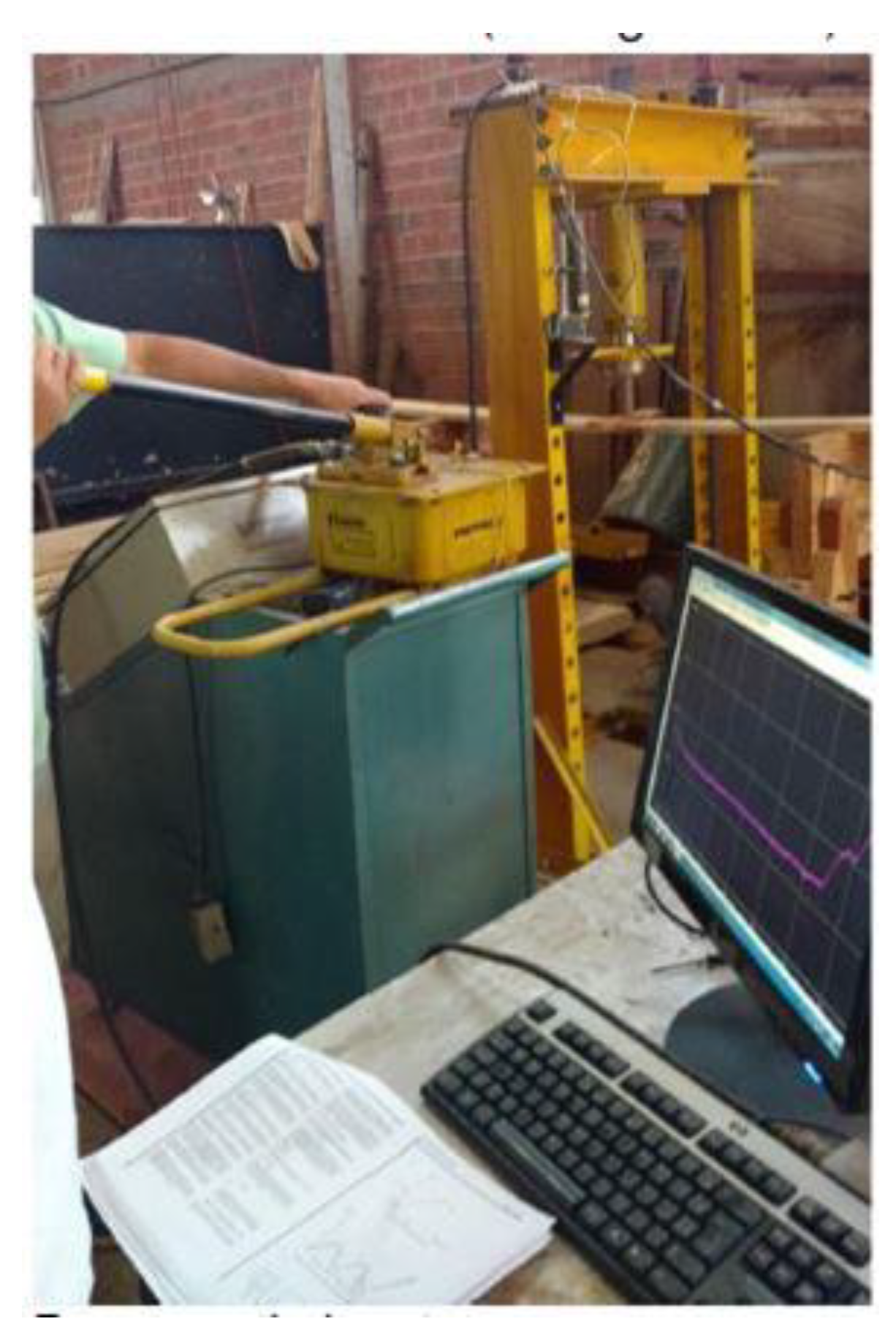 Forests 14 00931 g004