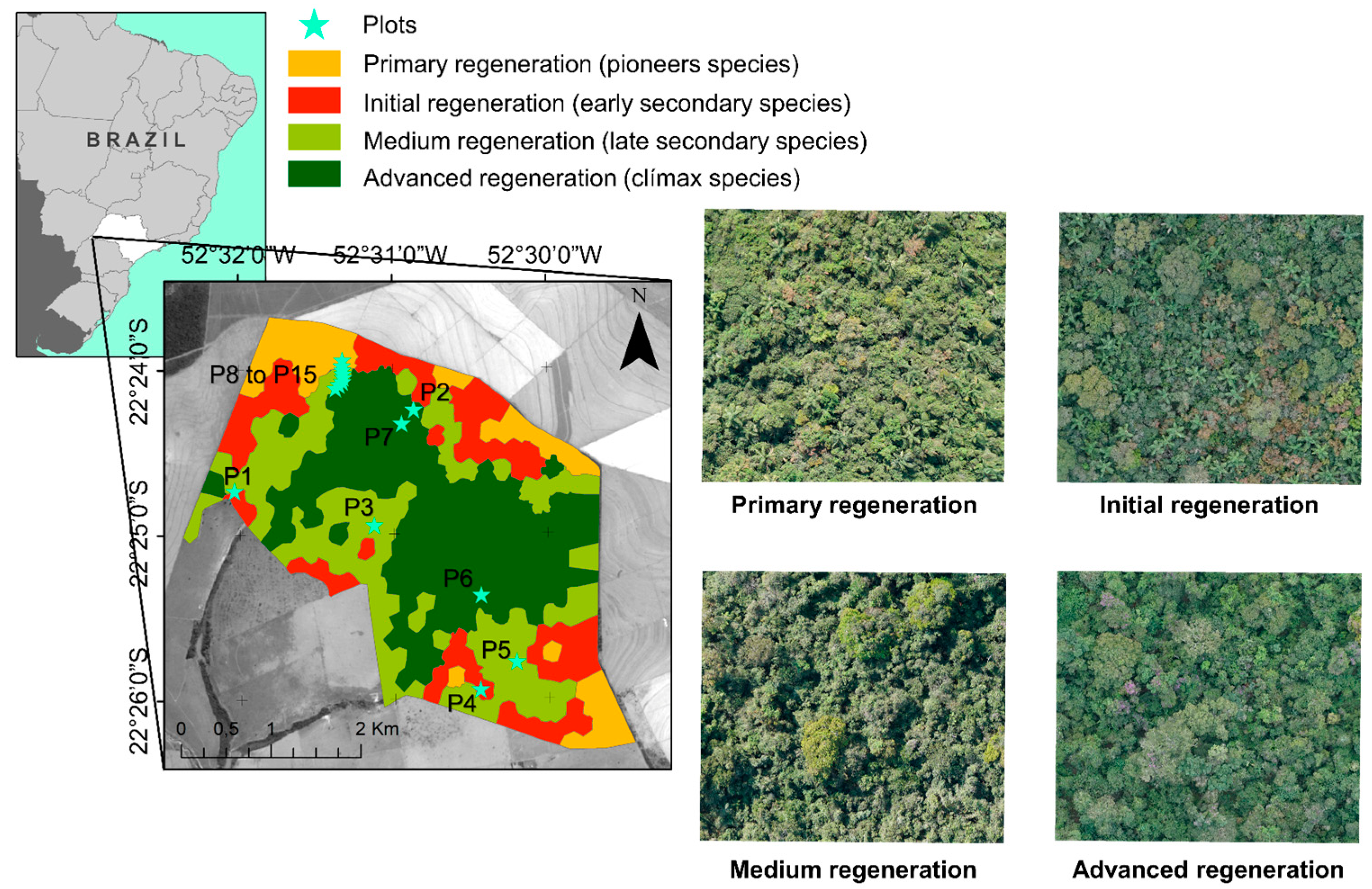 Forests 14 00945 g001