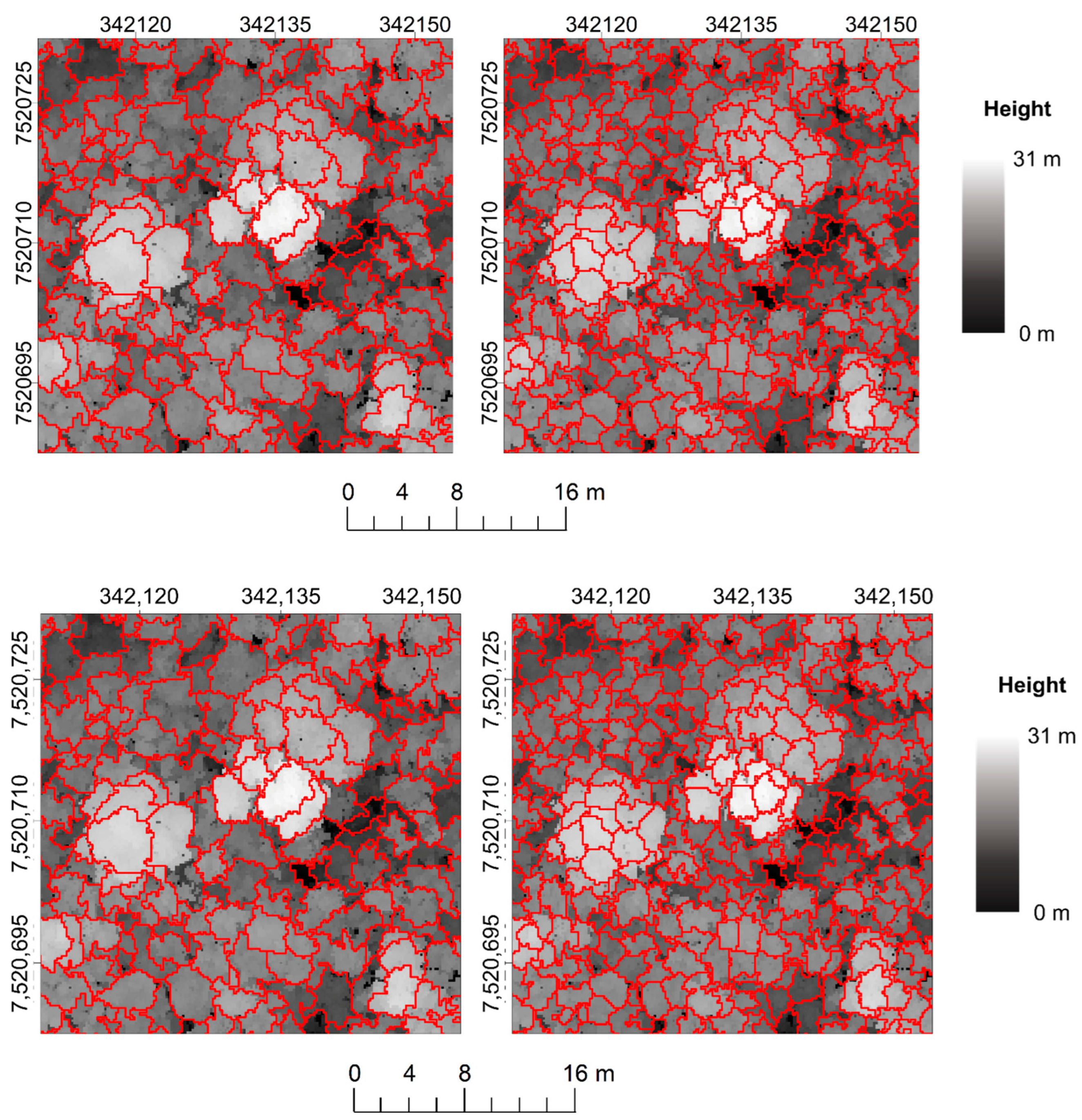 Forests 14 00945 g008