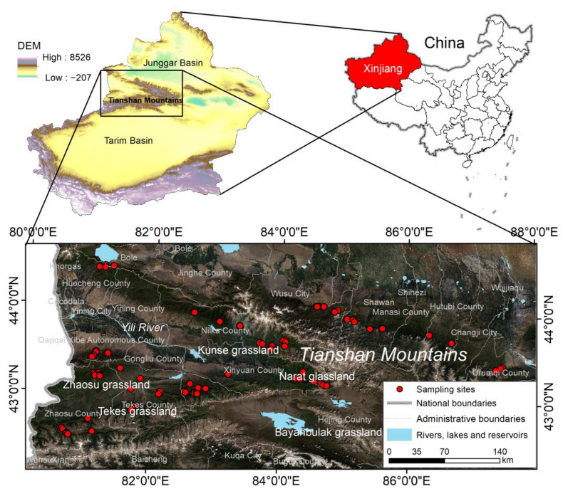 Forests 14 00953 g001