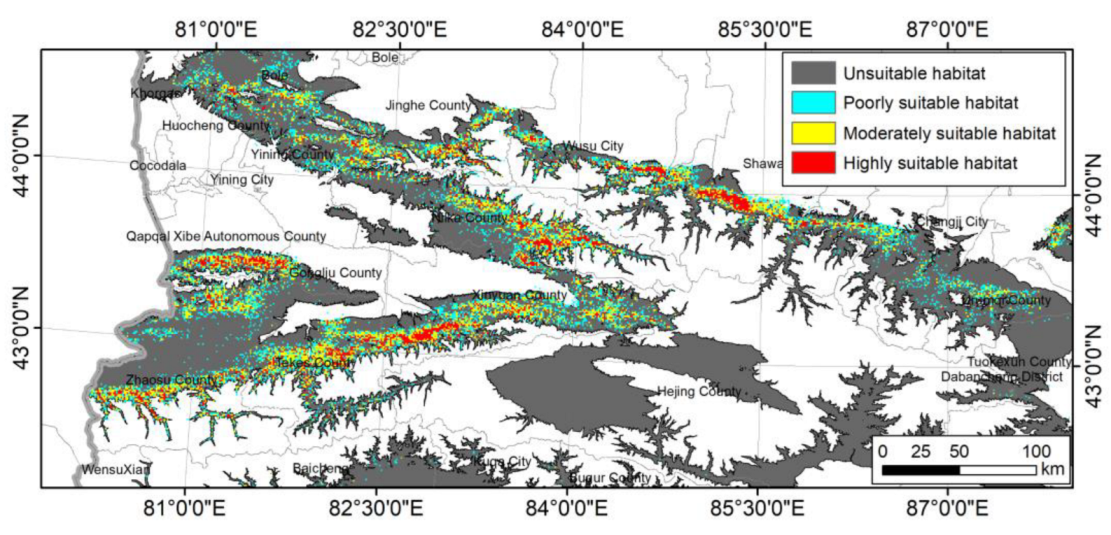 Forests 14 00953 g004