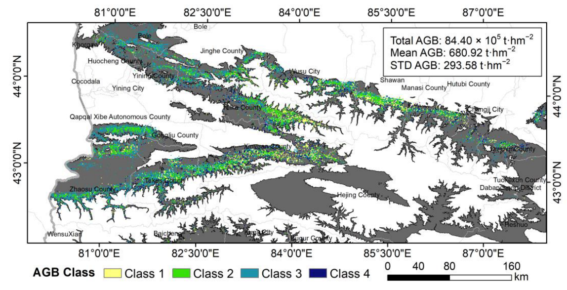 Forests 14 00953 g005