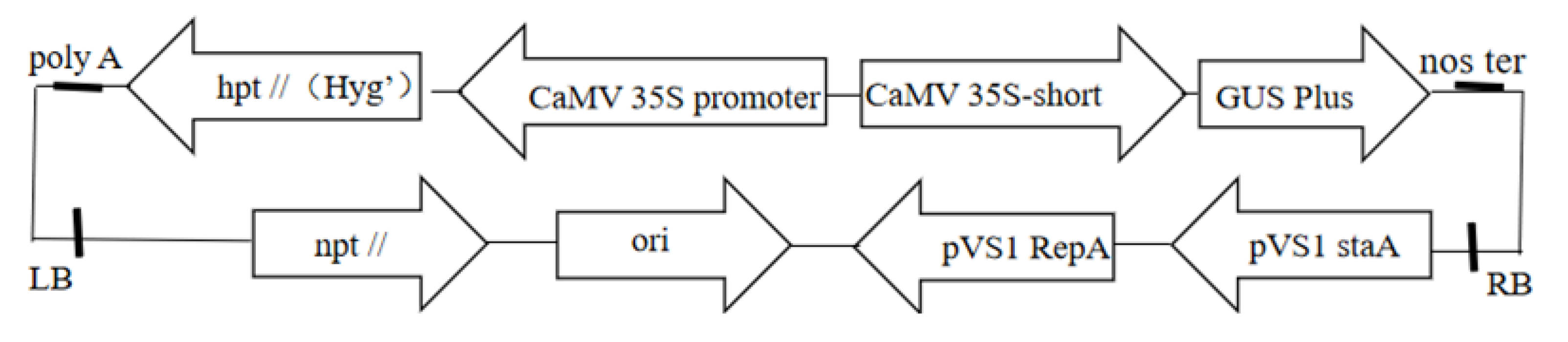 Forests 14 00957 g001 Forests 14 00957 g001