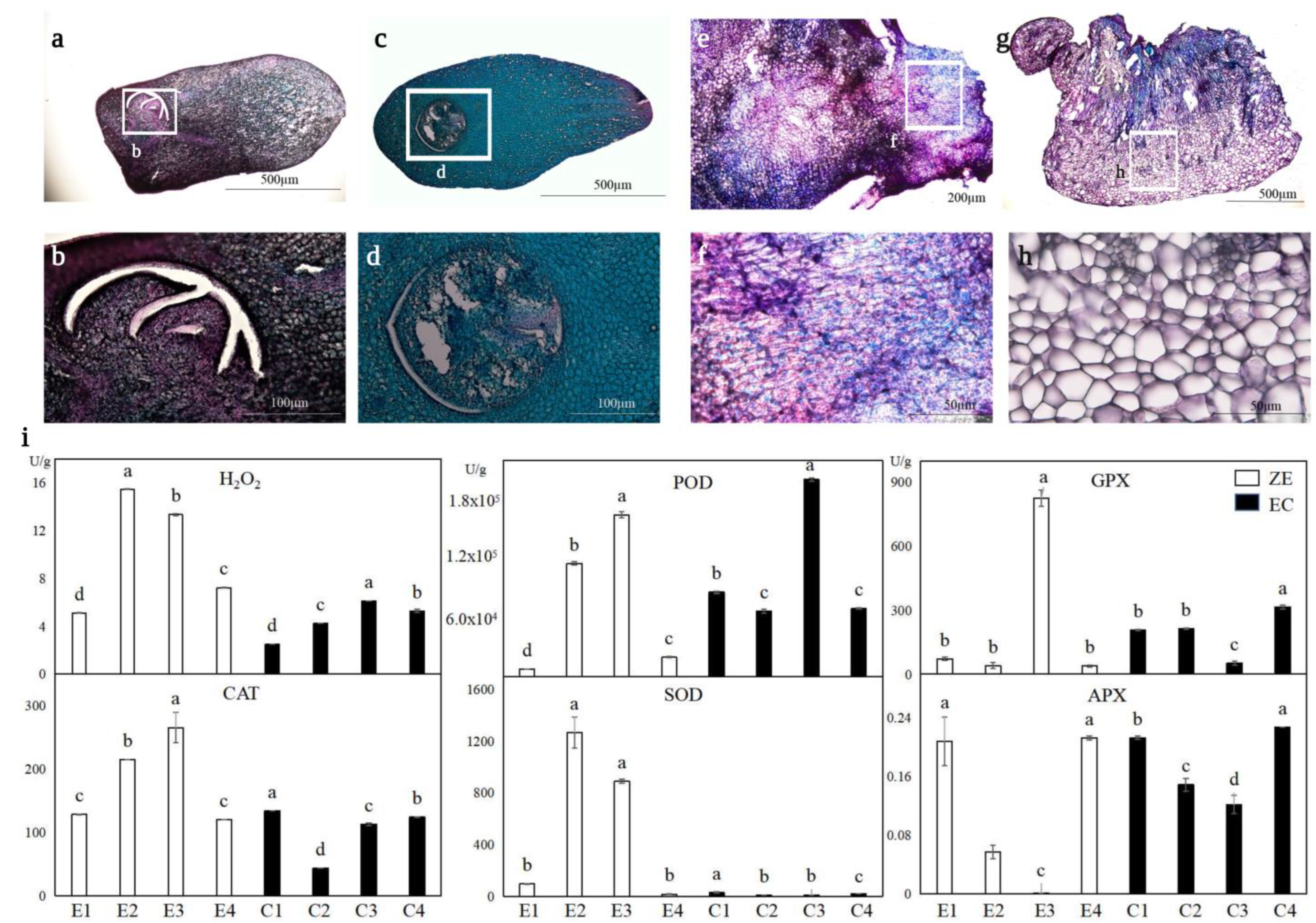 Forests 14 00966 g003