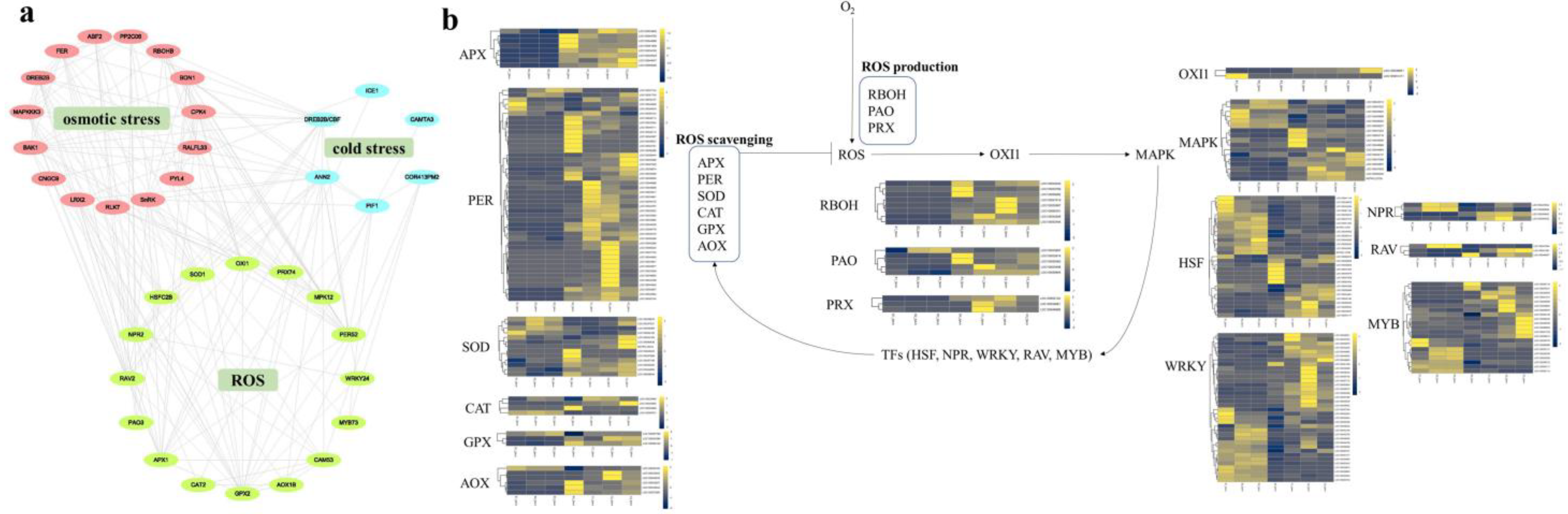 Forests 14 00966 g006