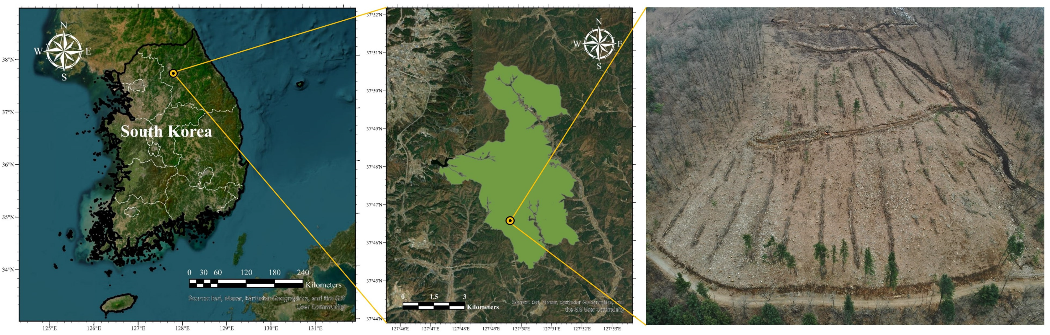 Forests 14 00980 g001