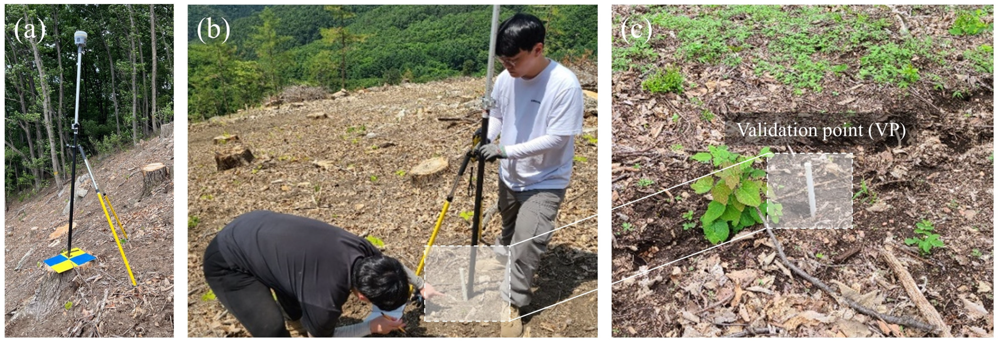 Forests 14 00980 g002