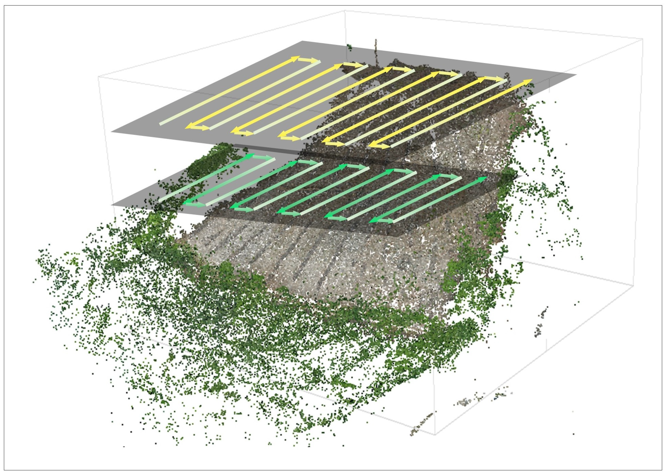 Forests 14 00980 g003