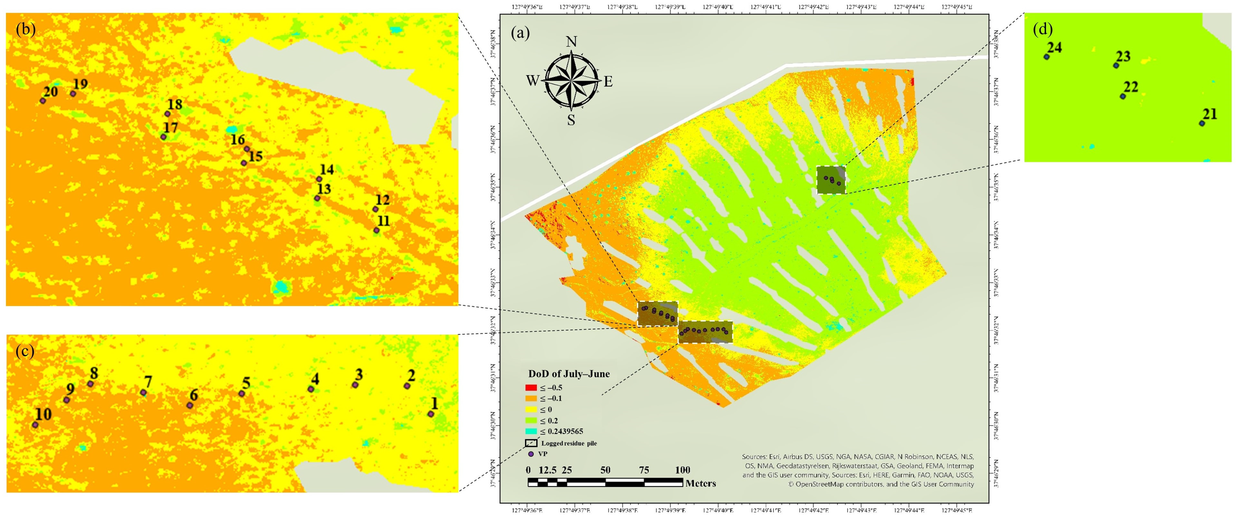 Forests 14 00980 g004