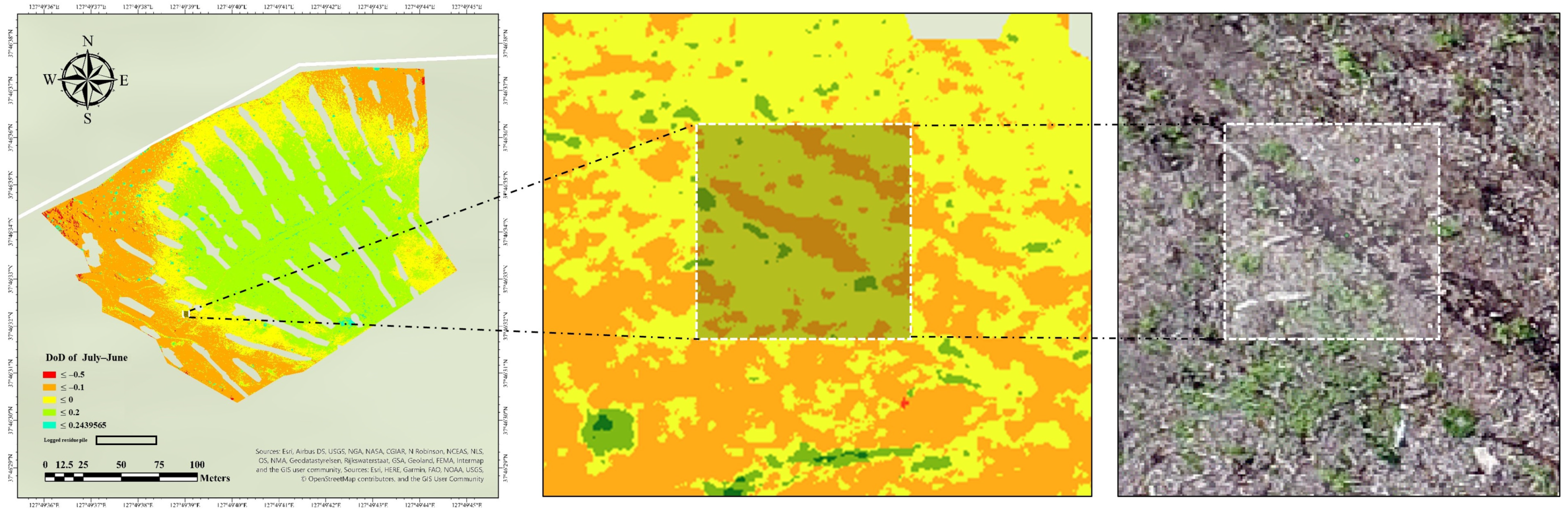 Forests 14 00980 g007