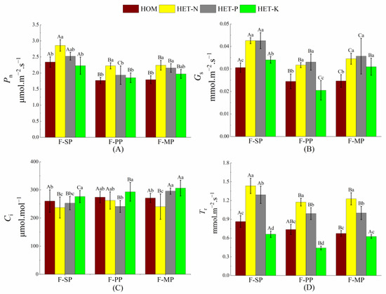 Forests 14 00984 g002