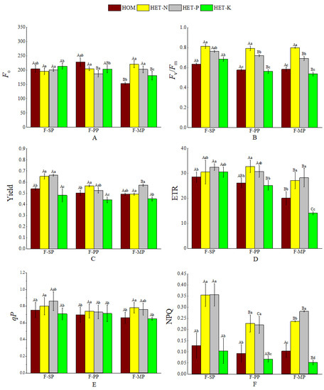 Forests 14 00984 g003