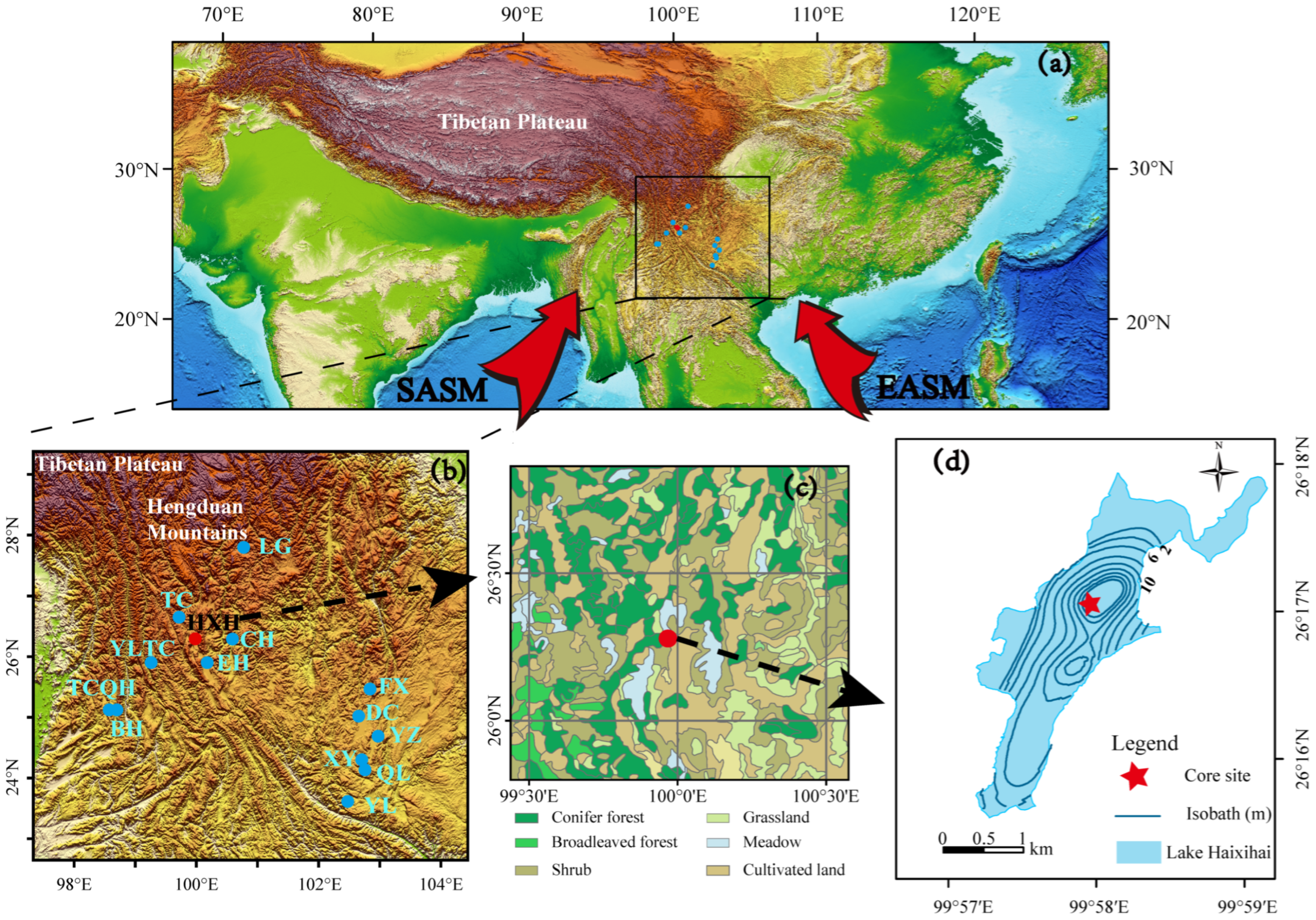 Forests 14 00990 g001 Forests 14 00990 g001