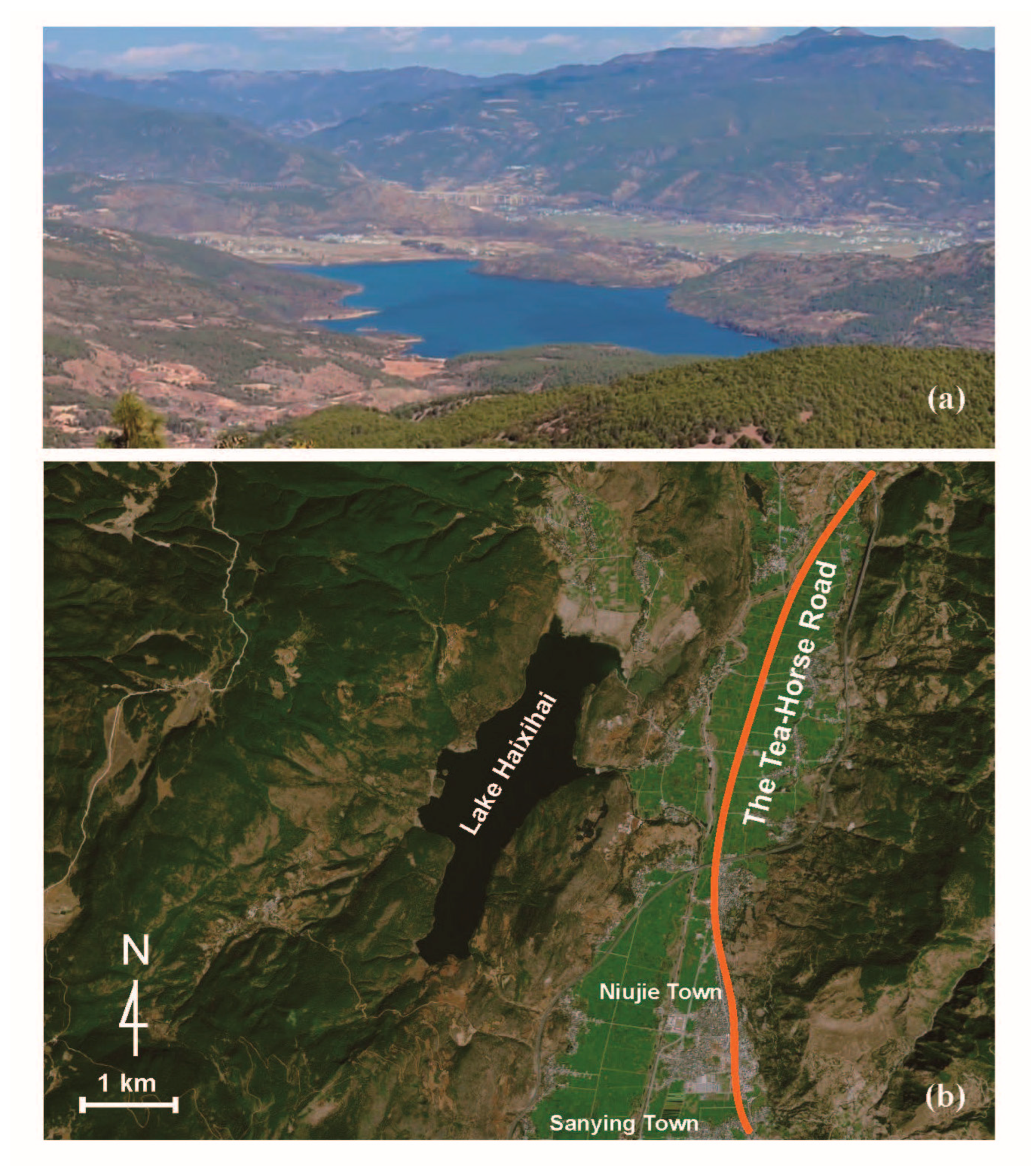 Forests 14 00990 g010 Forests 14 00990 g010