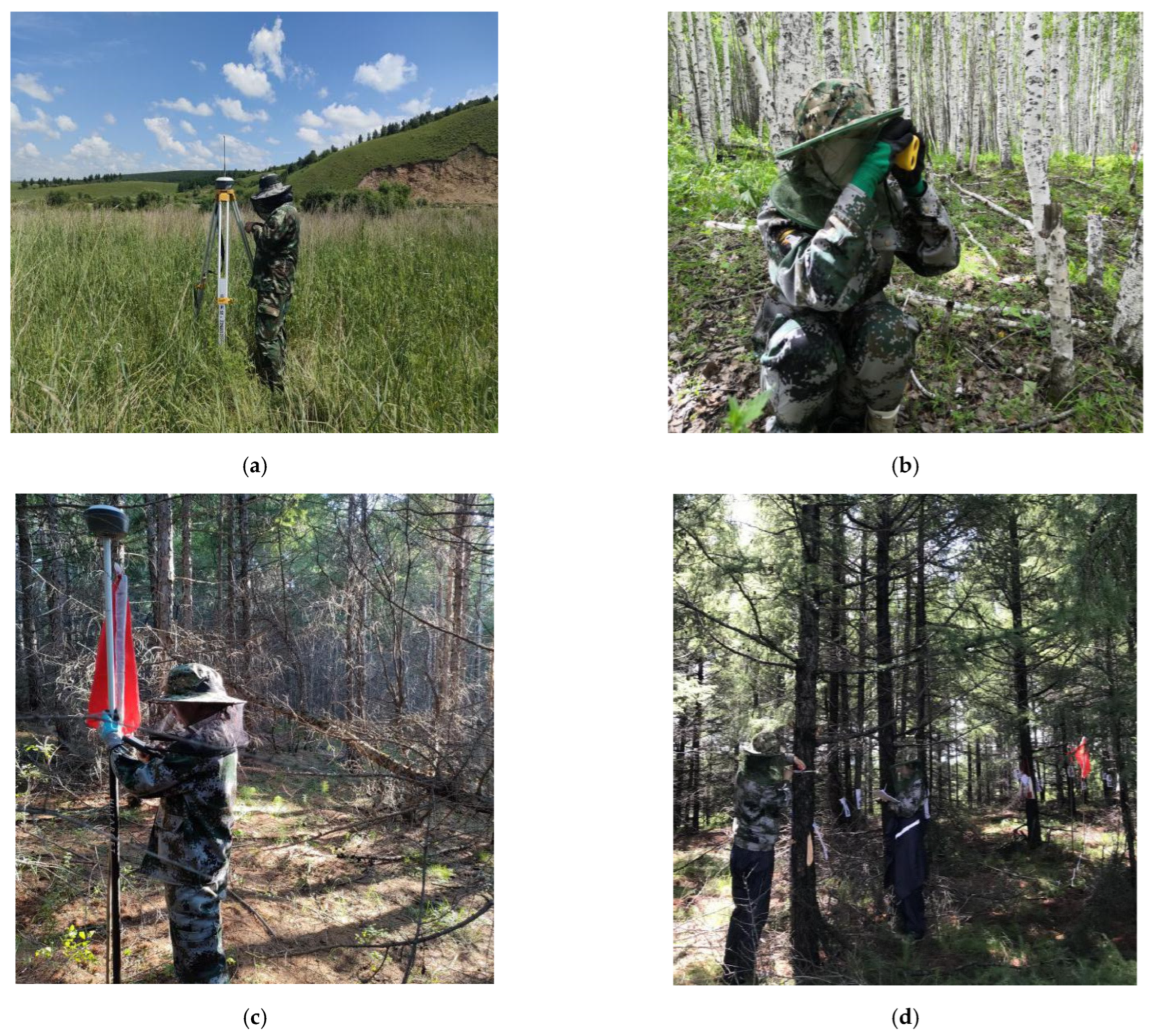 Forests 14 00992 g002