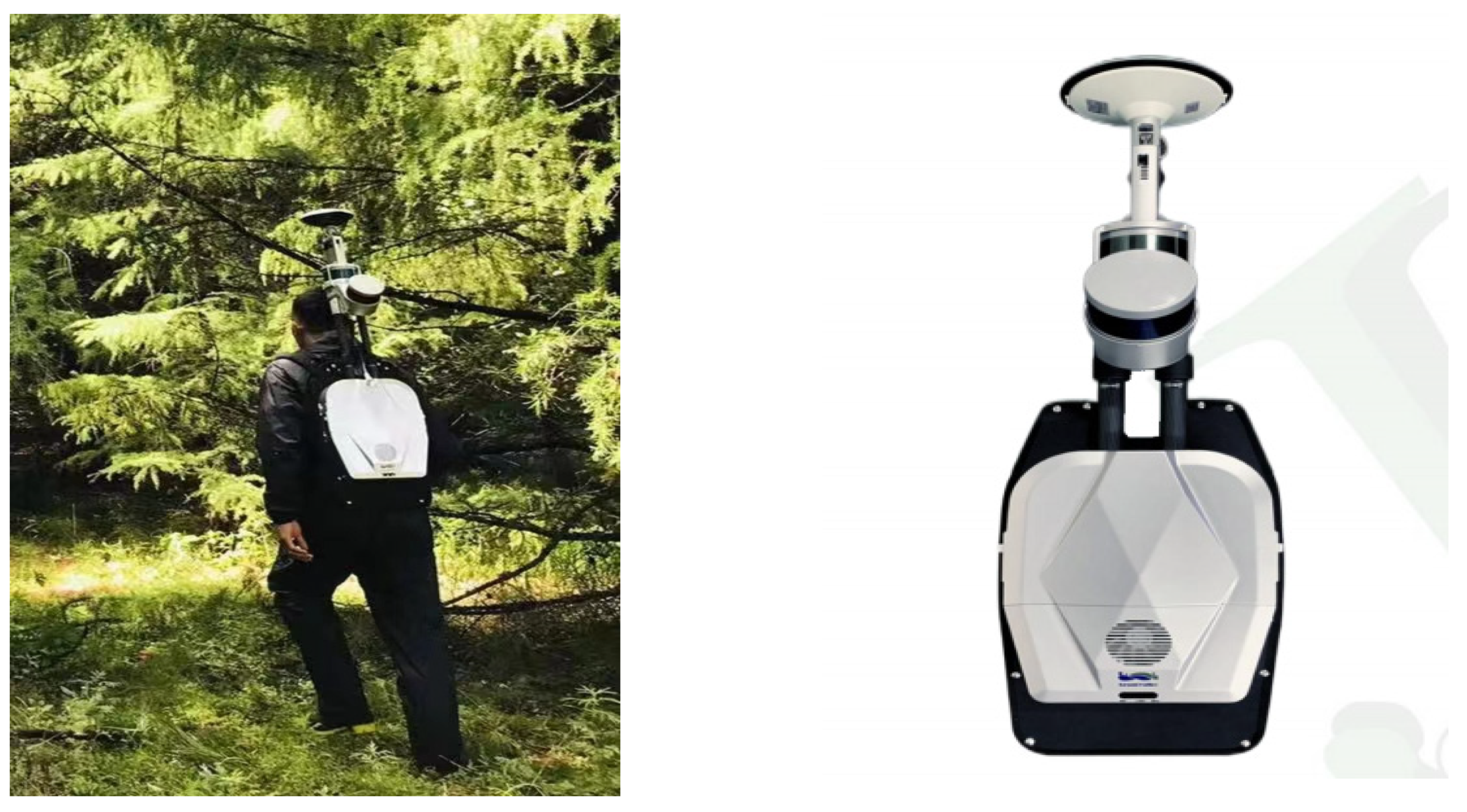 Forests 14 00992 g003