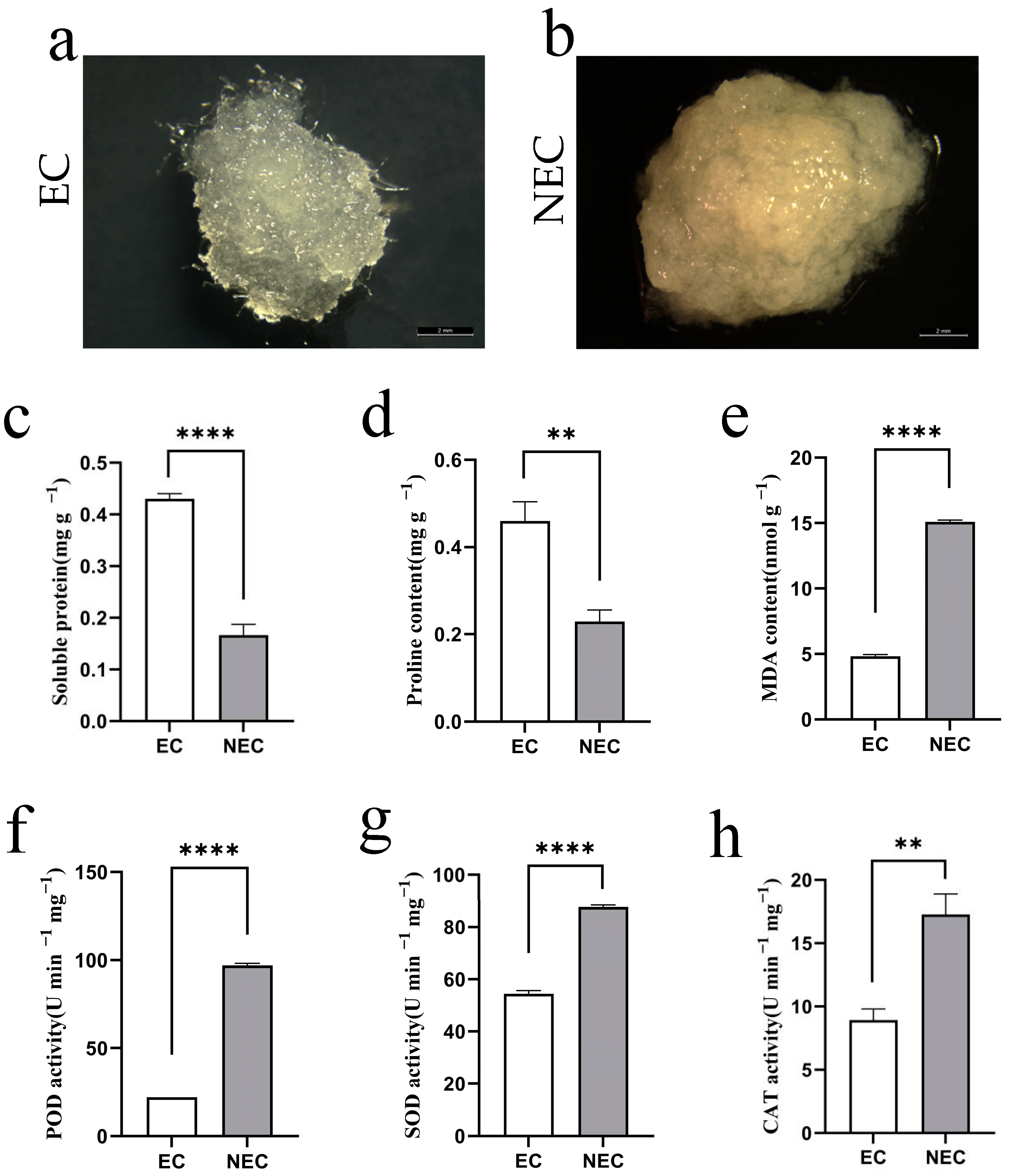 Forests 14 00993 g001