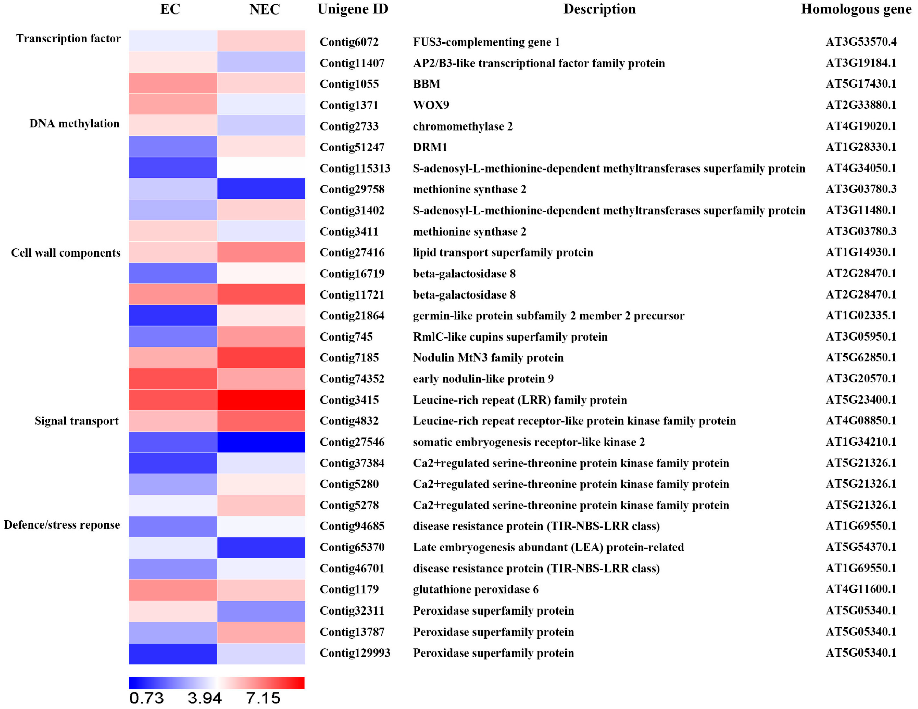 Forests 14 00993 g003