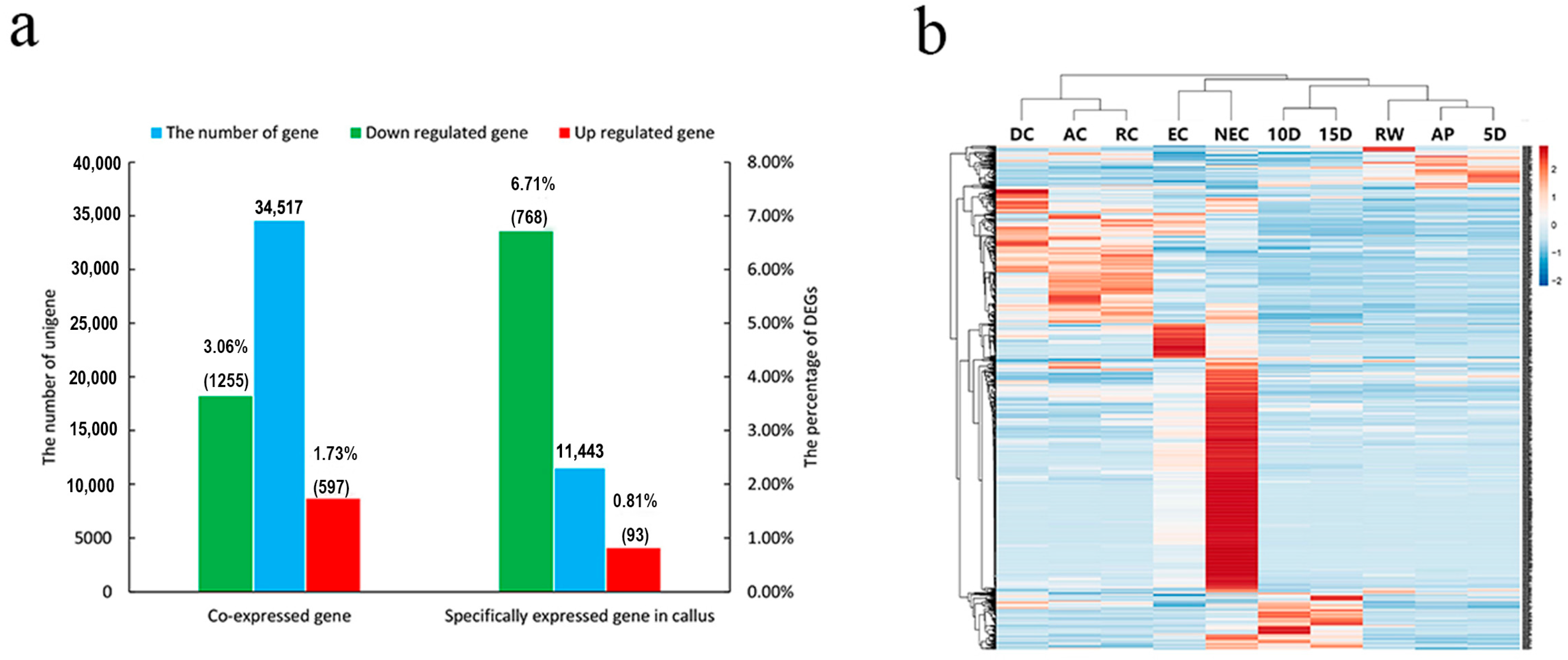 Forests 14 00993 g004