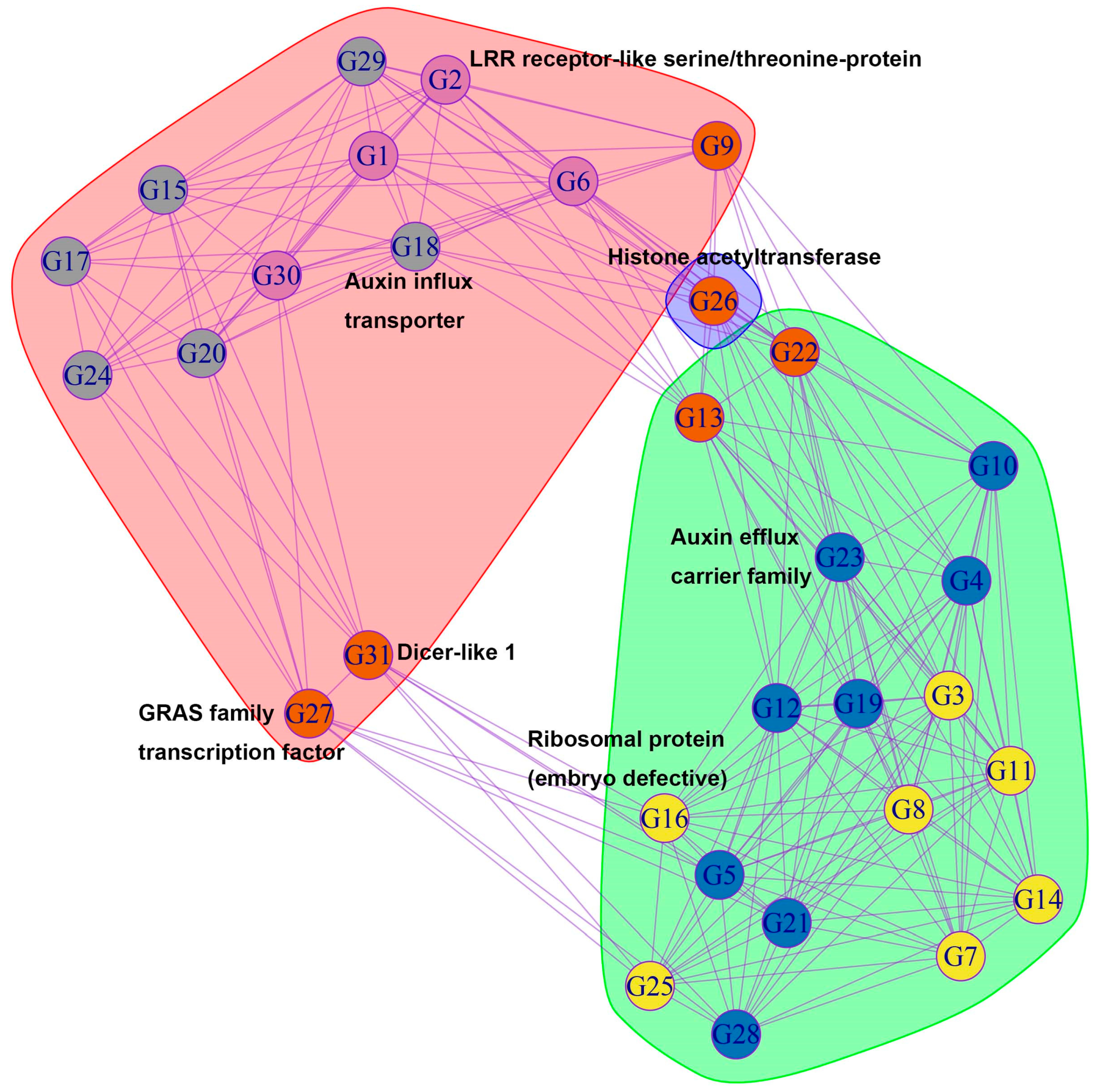 Forests 14 00993 g005