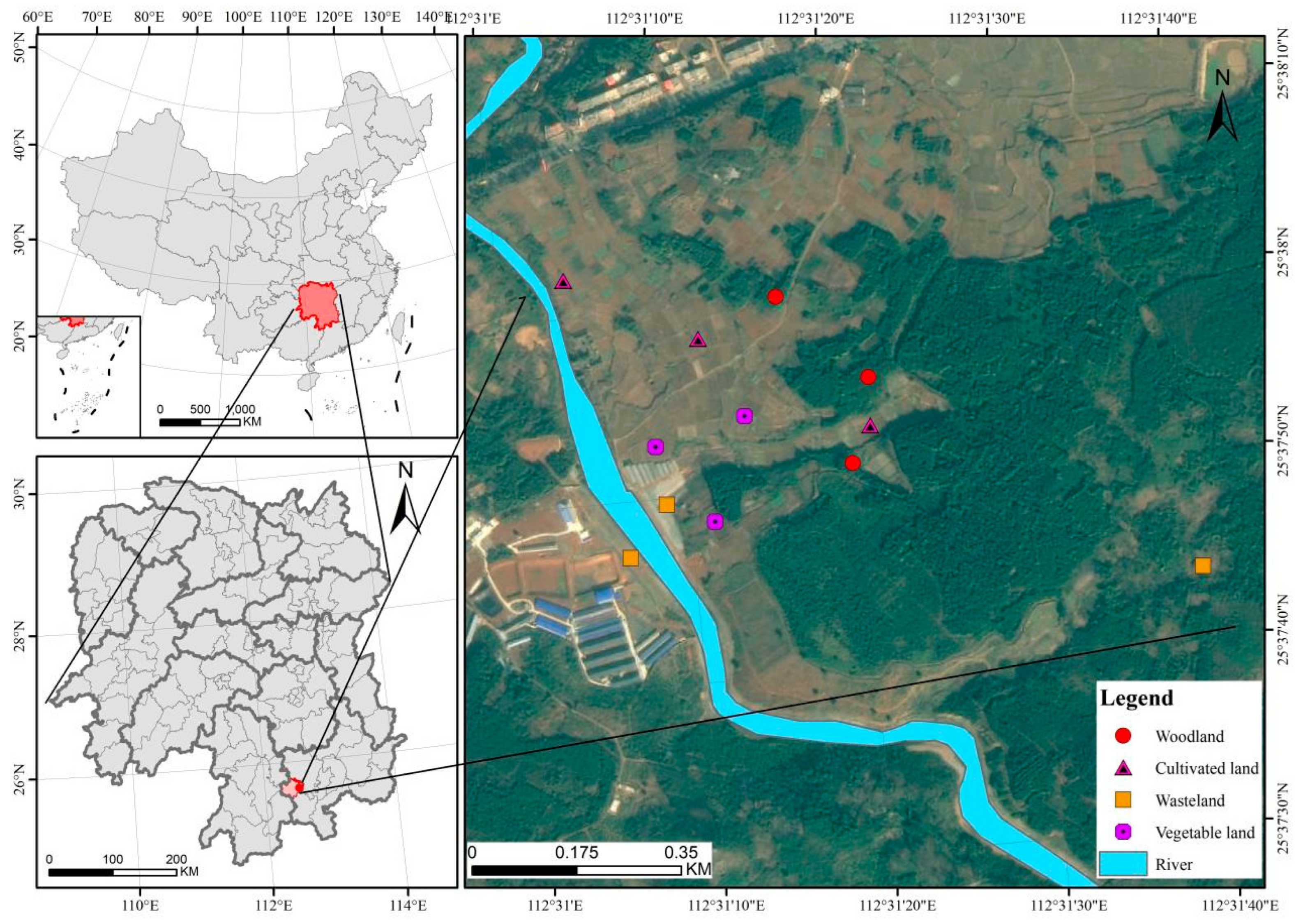 Forests 14 01004 g001